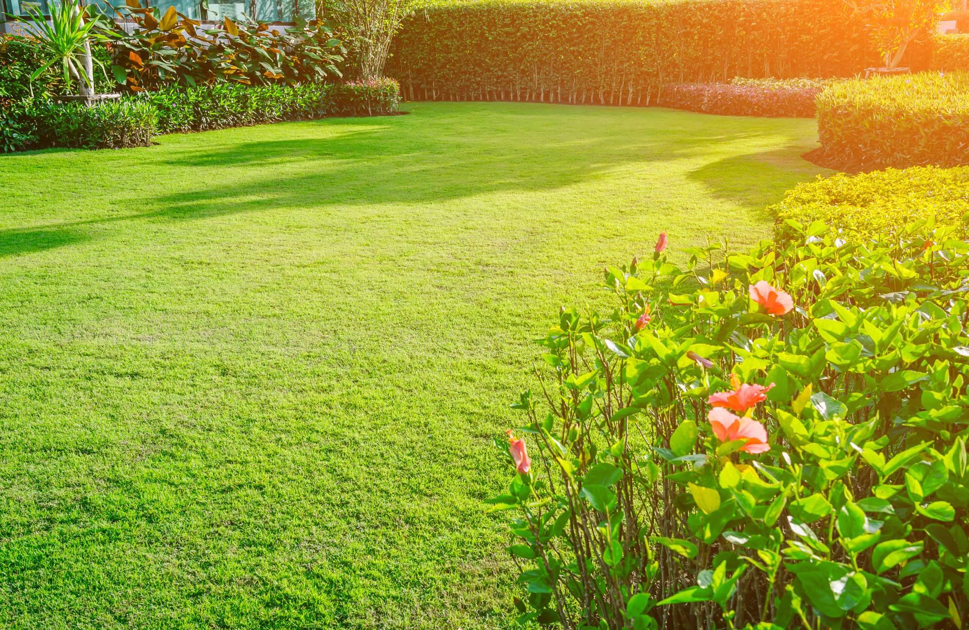 Cortacésped automático: la flexibilidad de la empresa Robotic Mowers