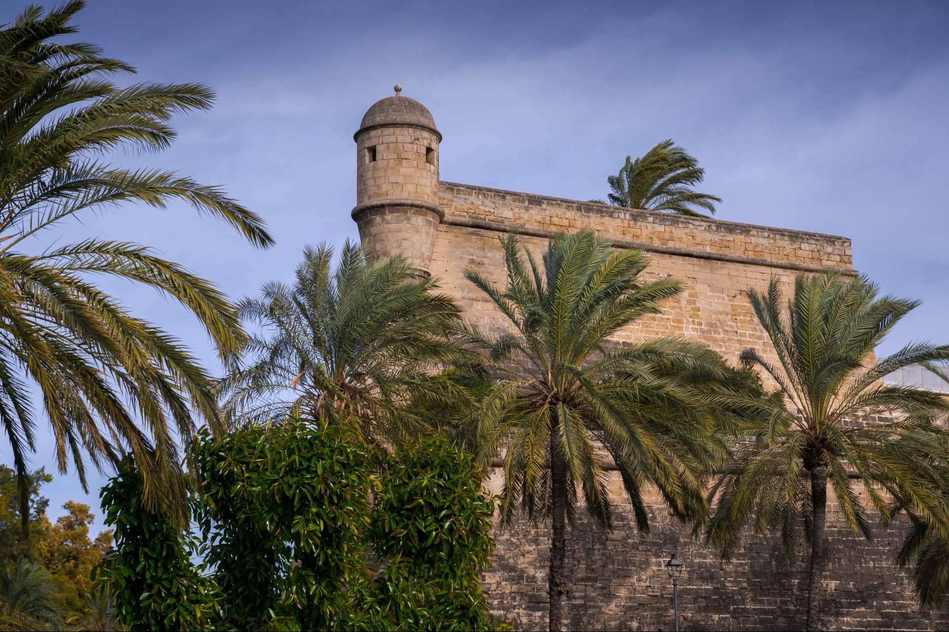 Alquilar, comprar o vender una vivienda en Palma de Mallorca, con Inmobiliaria Palma