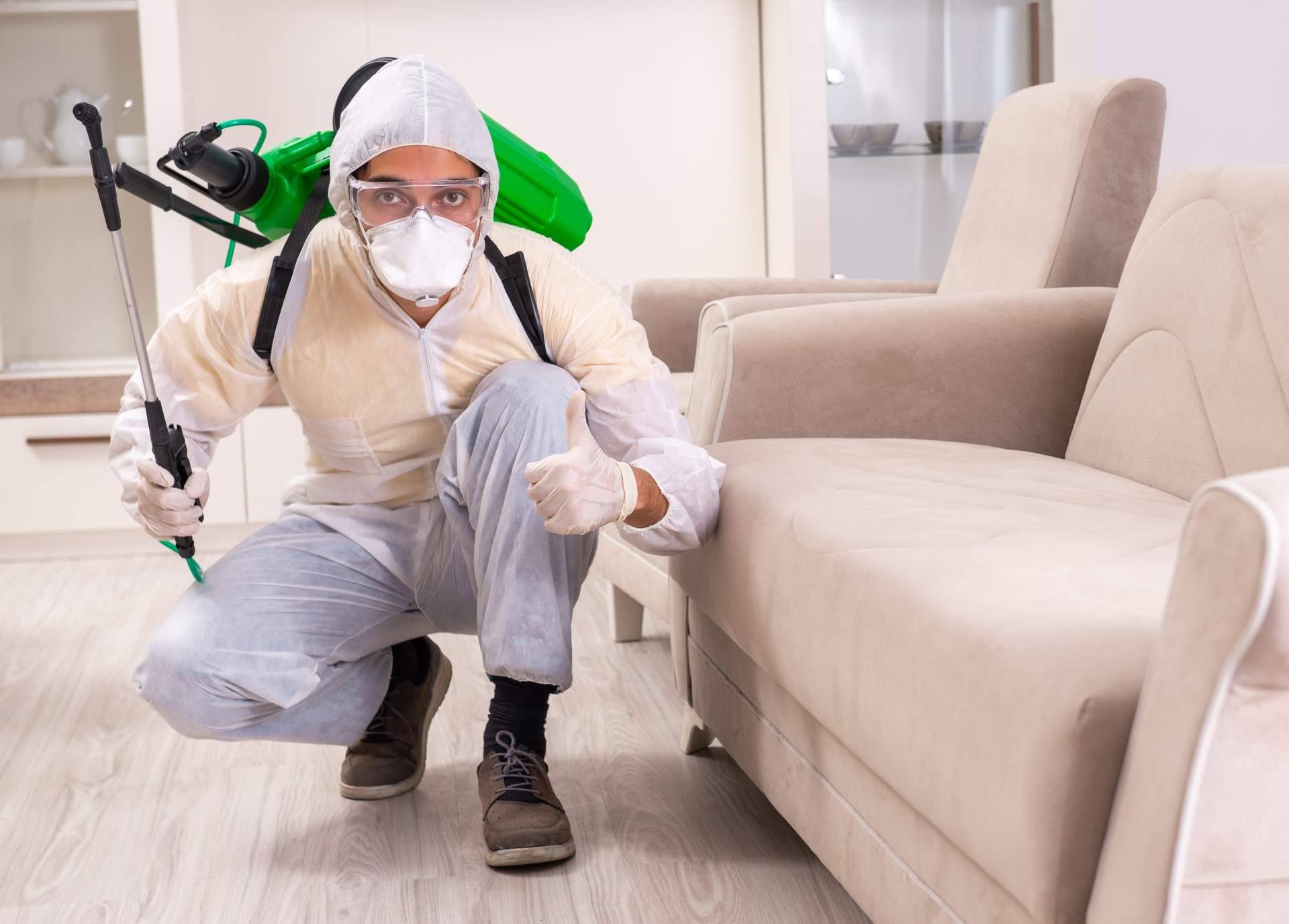 Control de plagas con los servicios que ofrece Laboratorios Astursa