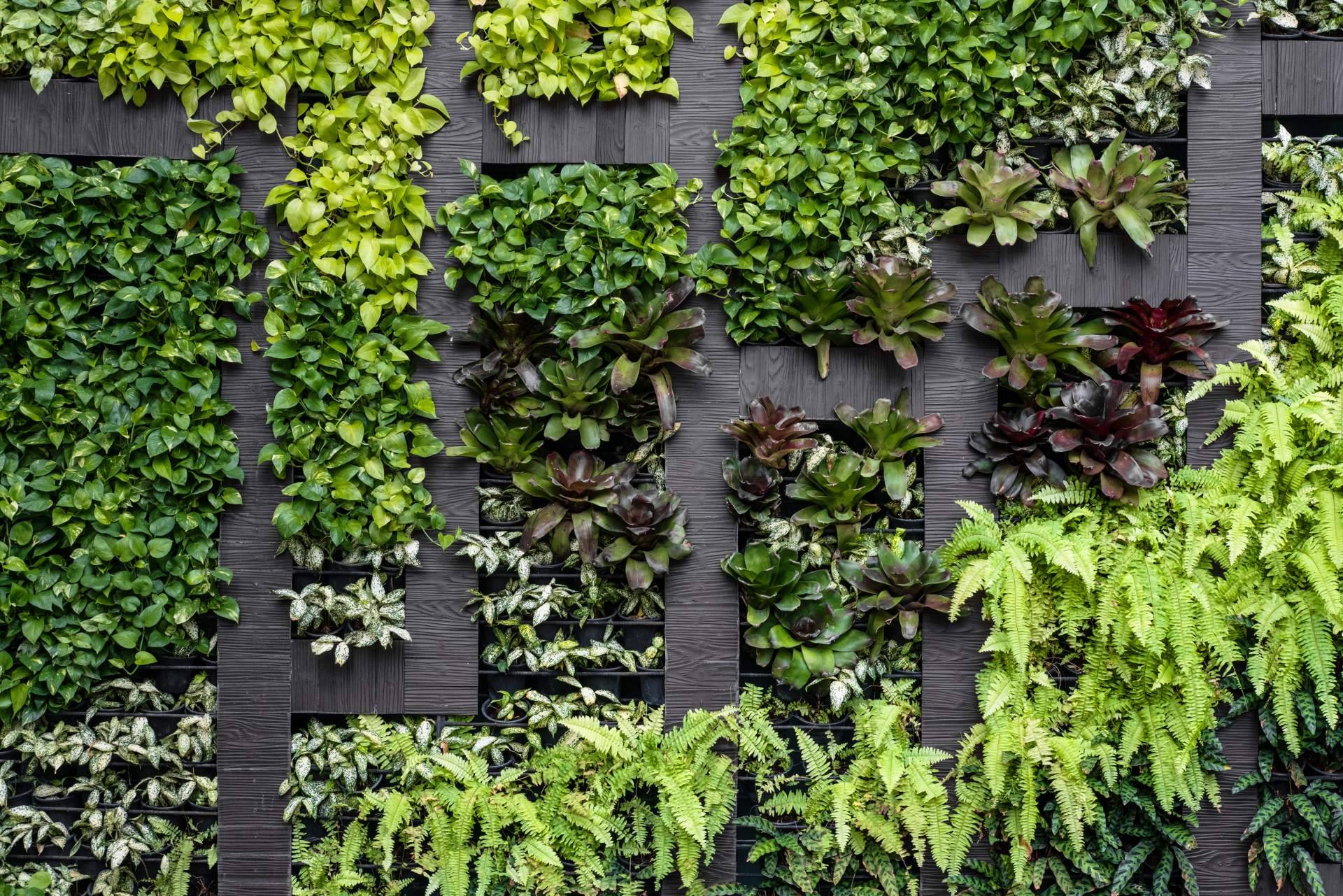 El momento ideal para transformar espacios con JardinVertical.es es el Black Friday