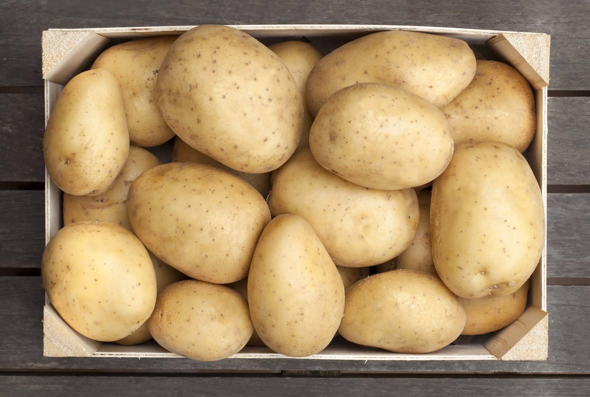 Disfrutar de las patatas gallegas en Barcelona gracias a Patatas Yago