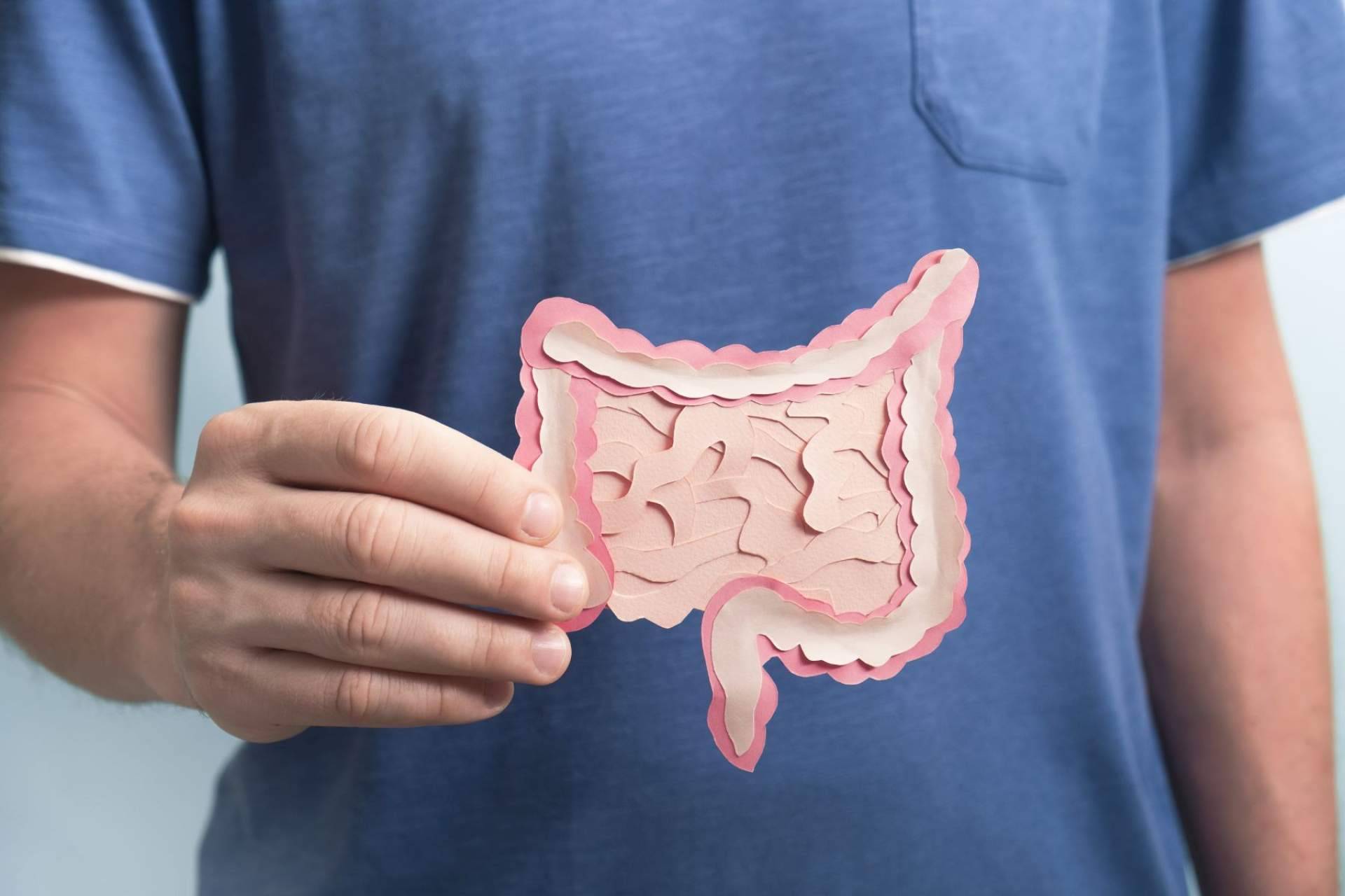Cuidar la flora intestinal con los probióticos de Bibefy