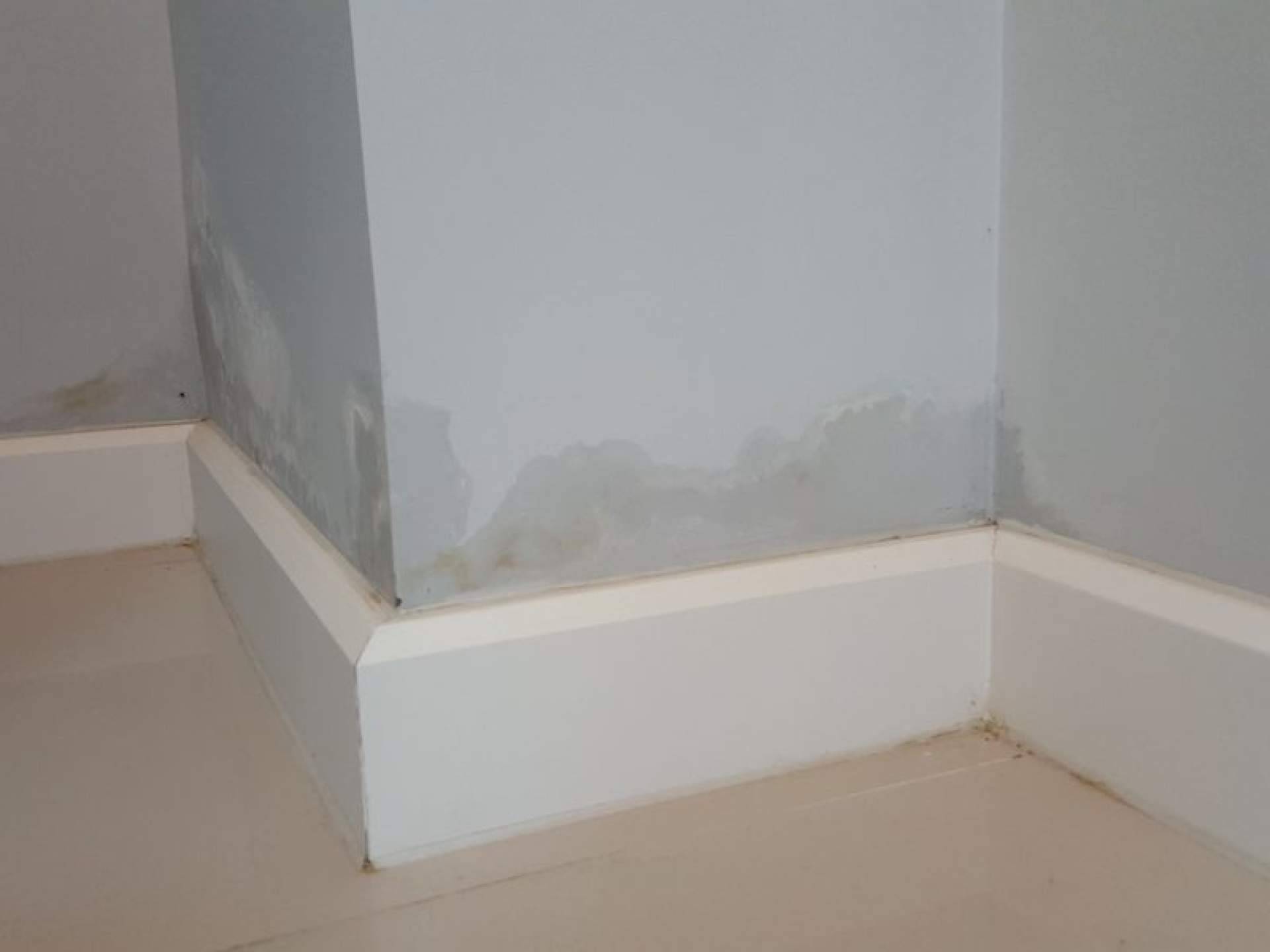 Tratamiento de humedades; capilaridad, filtraciones, condensación