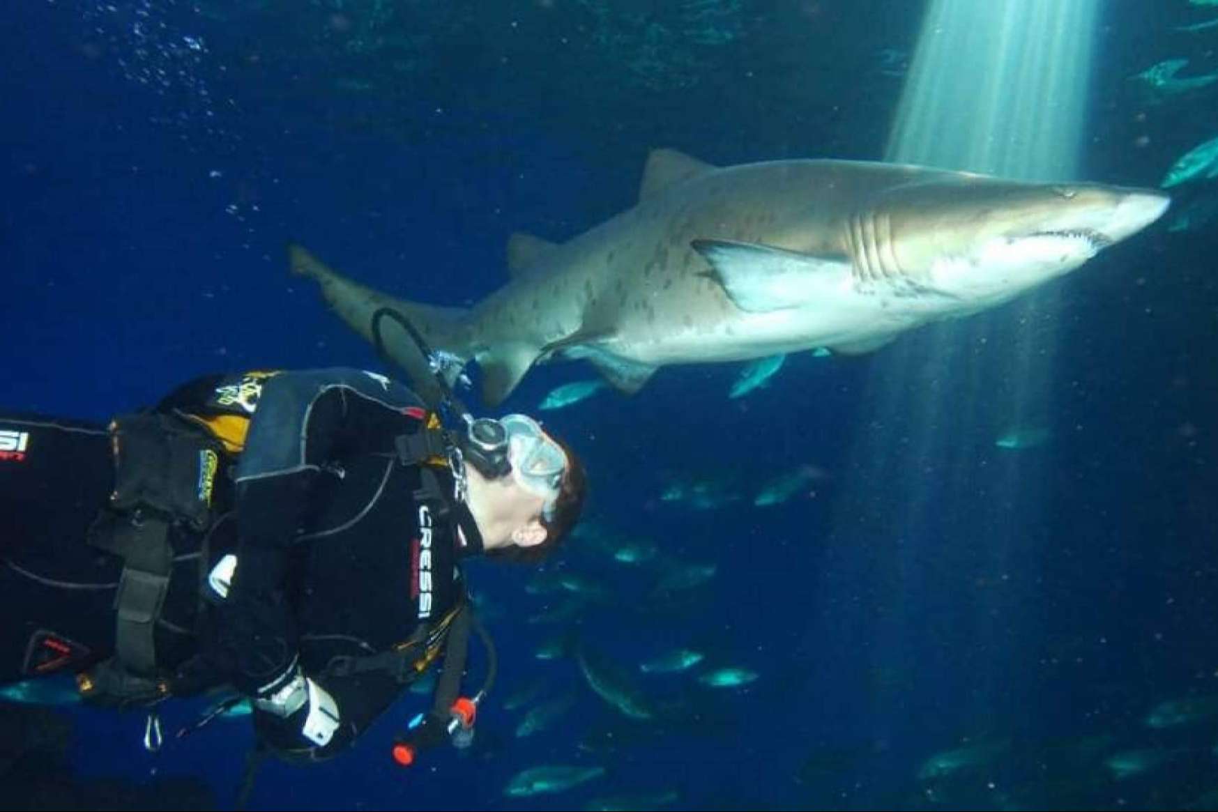 Experiencias únicas y actividades que no pueden faltar en una visita a Palma Aquarium