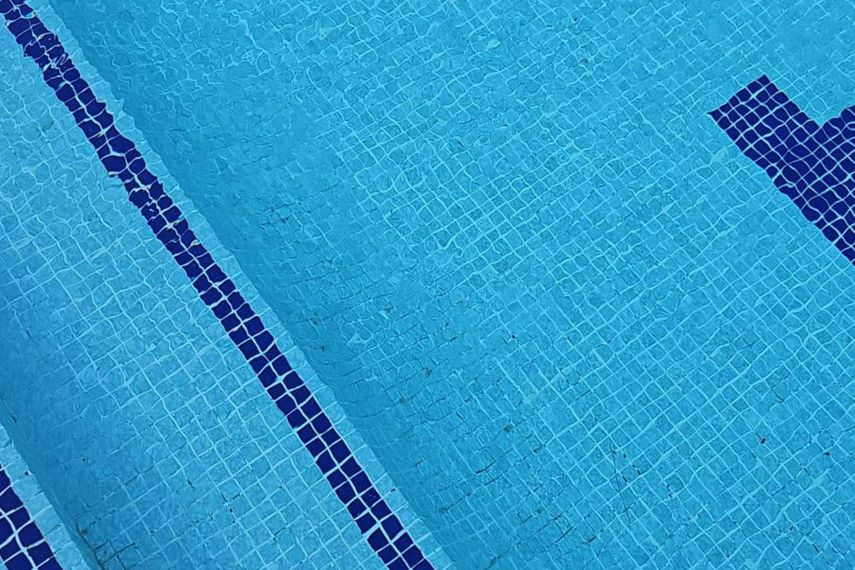 Pool Tiger Europe. La sensación del Salón de Piscinas Wellness de Barcelona. Menos cloro, más salud