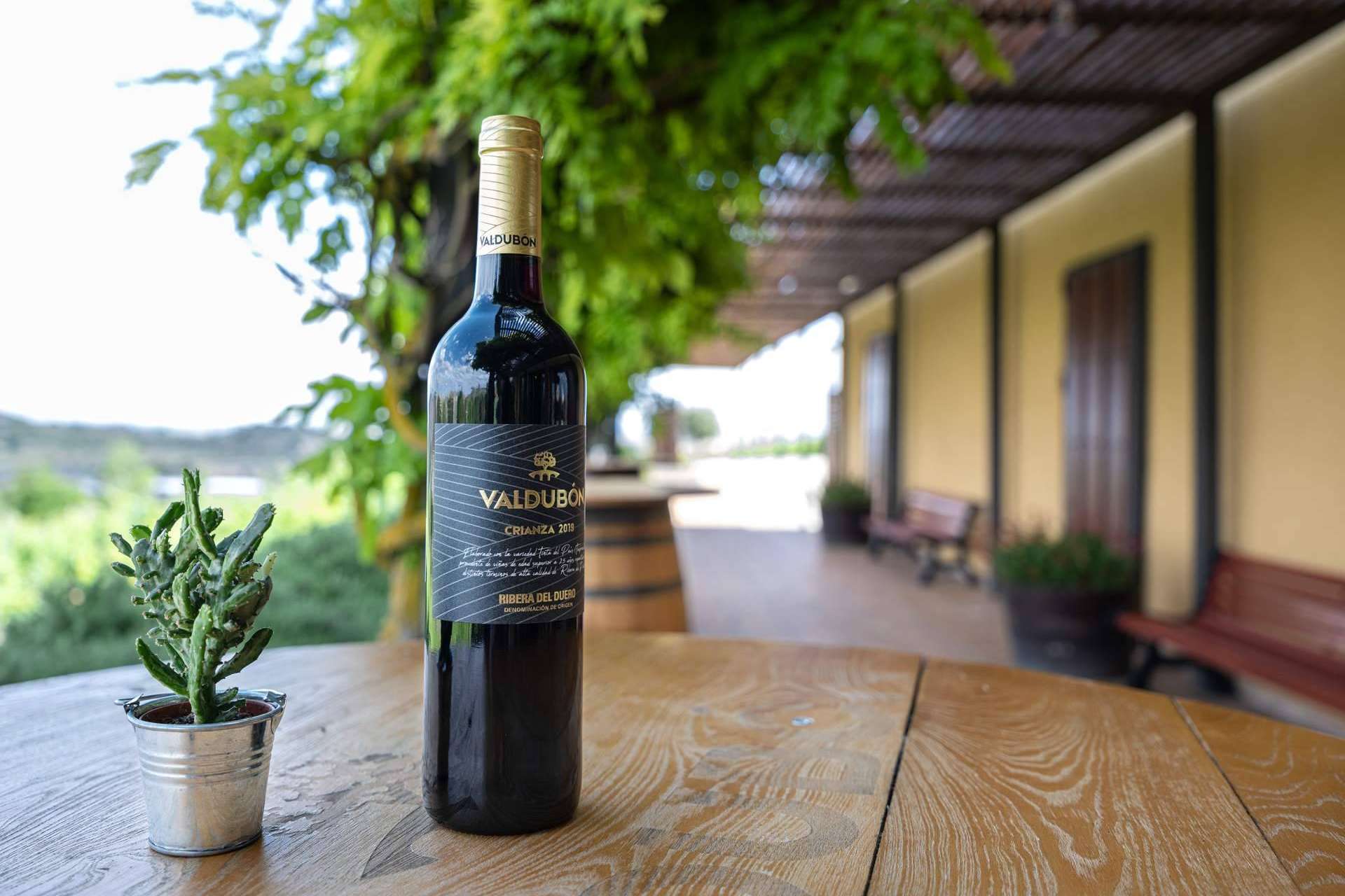 Valdubón, la bodega de Ribera del Duero de Ferrer Wines, triunfa como la más premiada del año