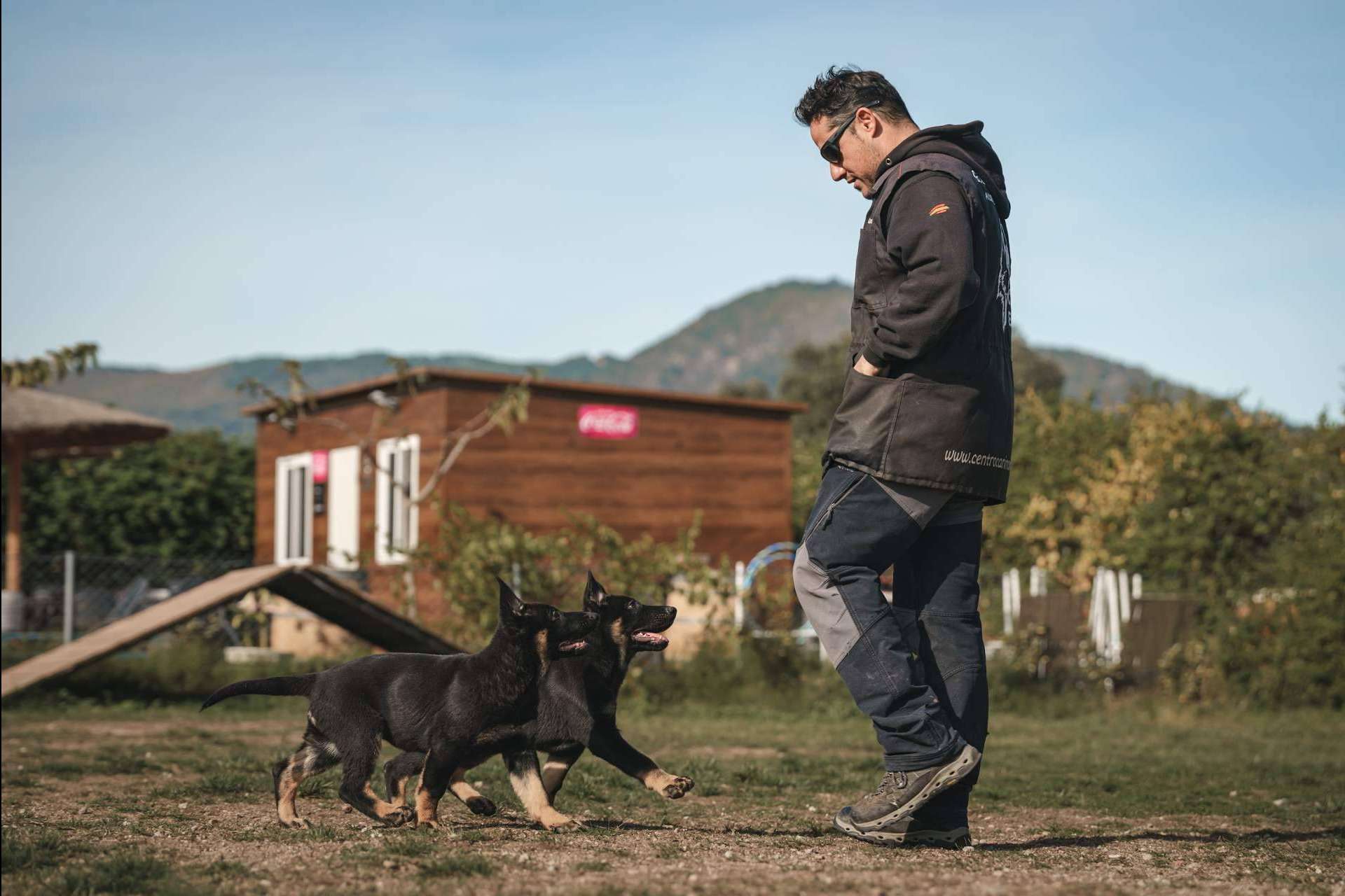 Cuidado, educación y adiestramiento para mascotas con Monte Ida