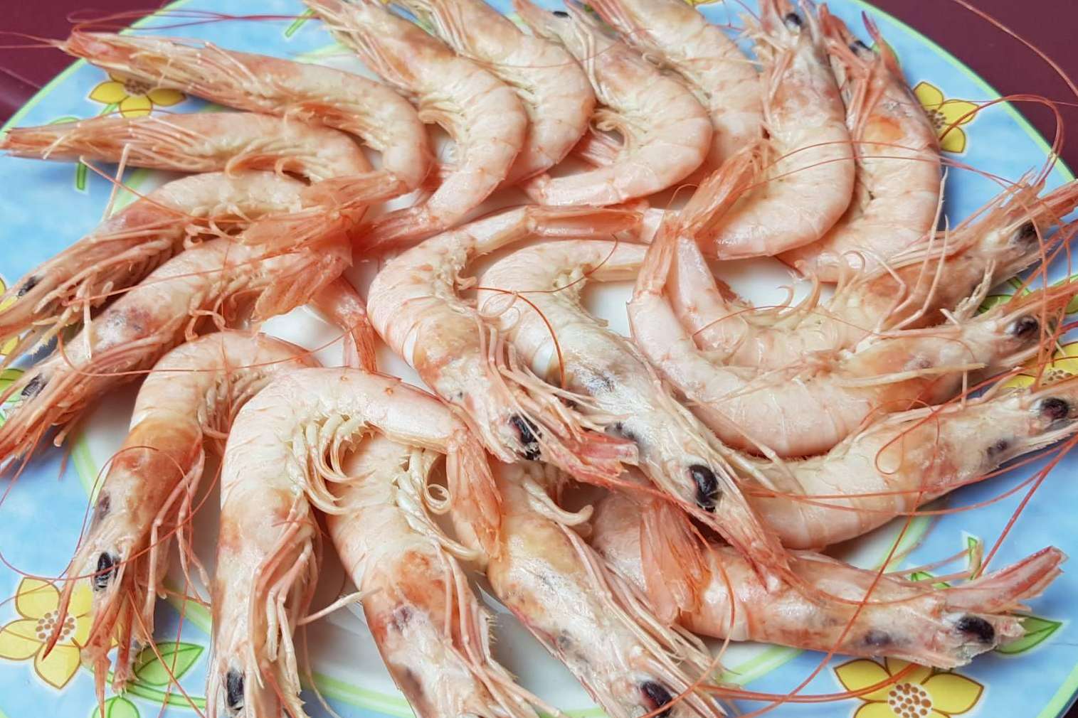 ¿Cómo mantener el marisco fresco?, Lonja de Ayamonte