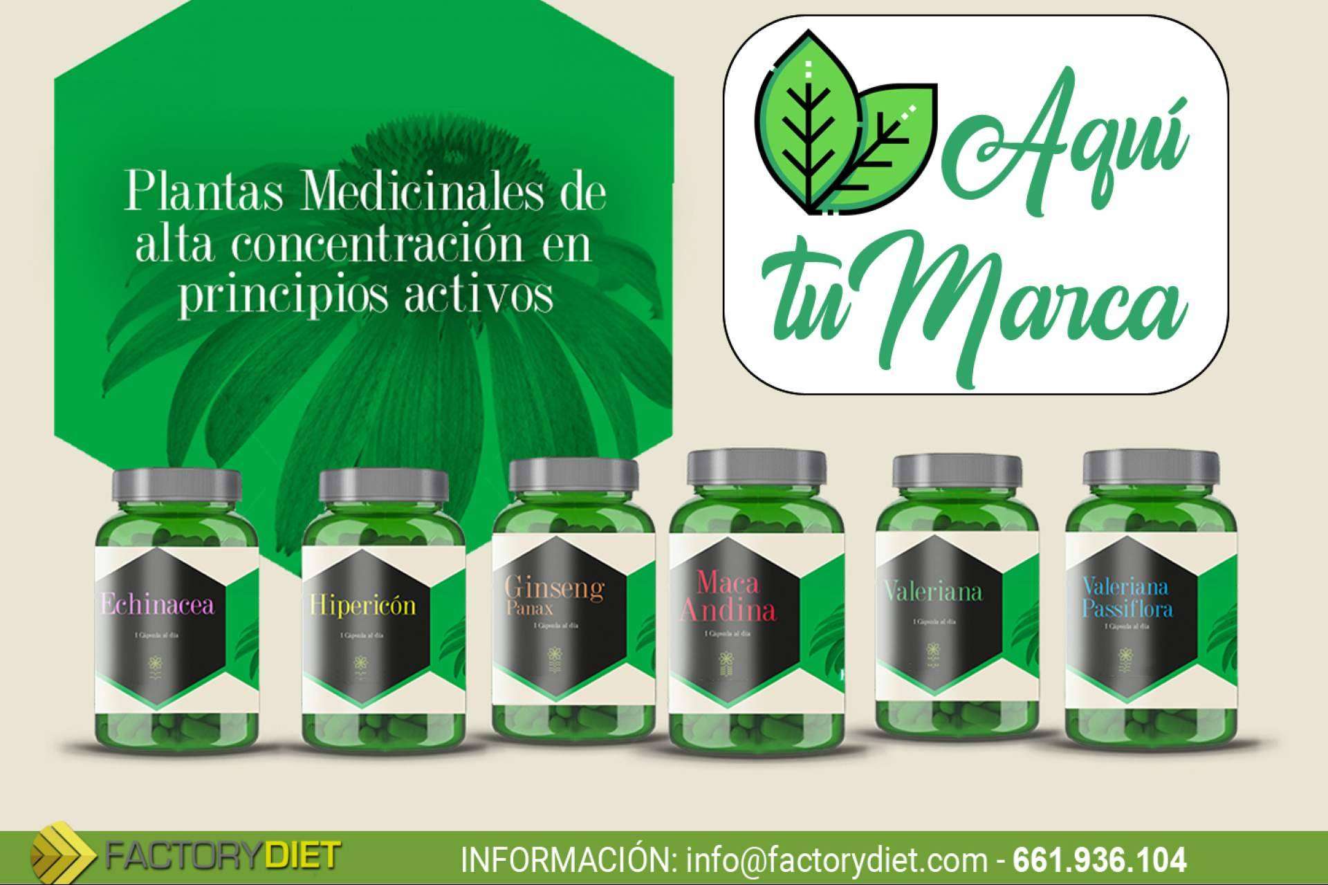 Diferenciarse en redes sociales con la ayuda de FactoryDiet