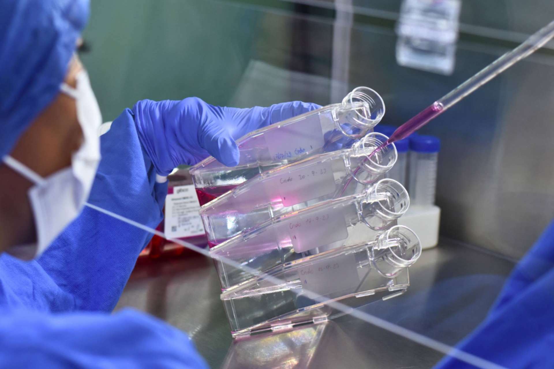Immunotherapy Regenerative Medicine™, especialistas en terapia celular y medicina regenerativa