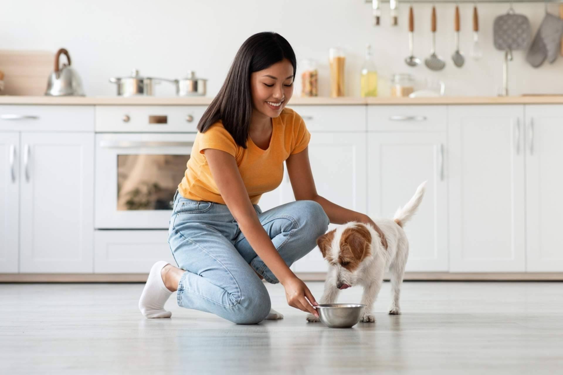 Snacks naturales, los beneficios para la salud dental y el valor nutricional de las mascotas