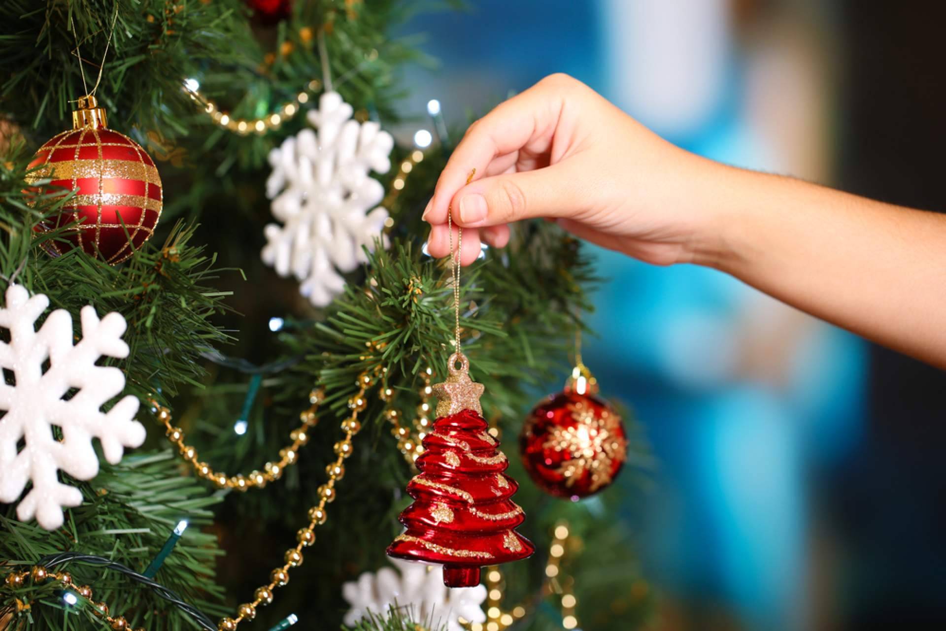 Navet se encarga de la venta de árboles de Navidad naturales