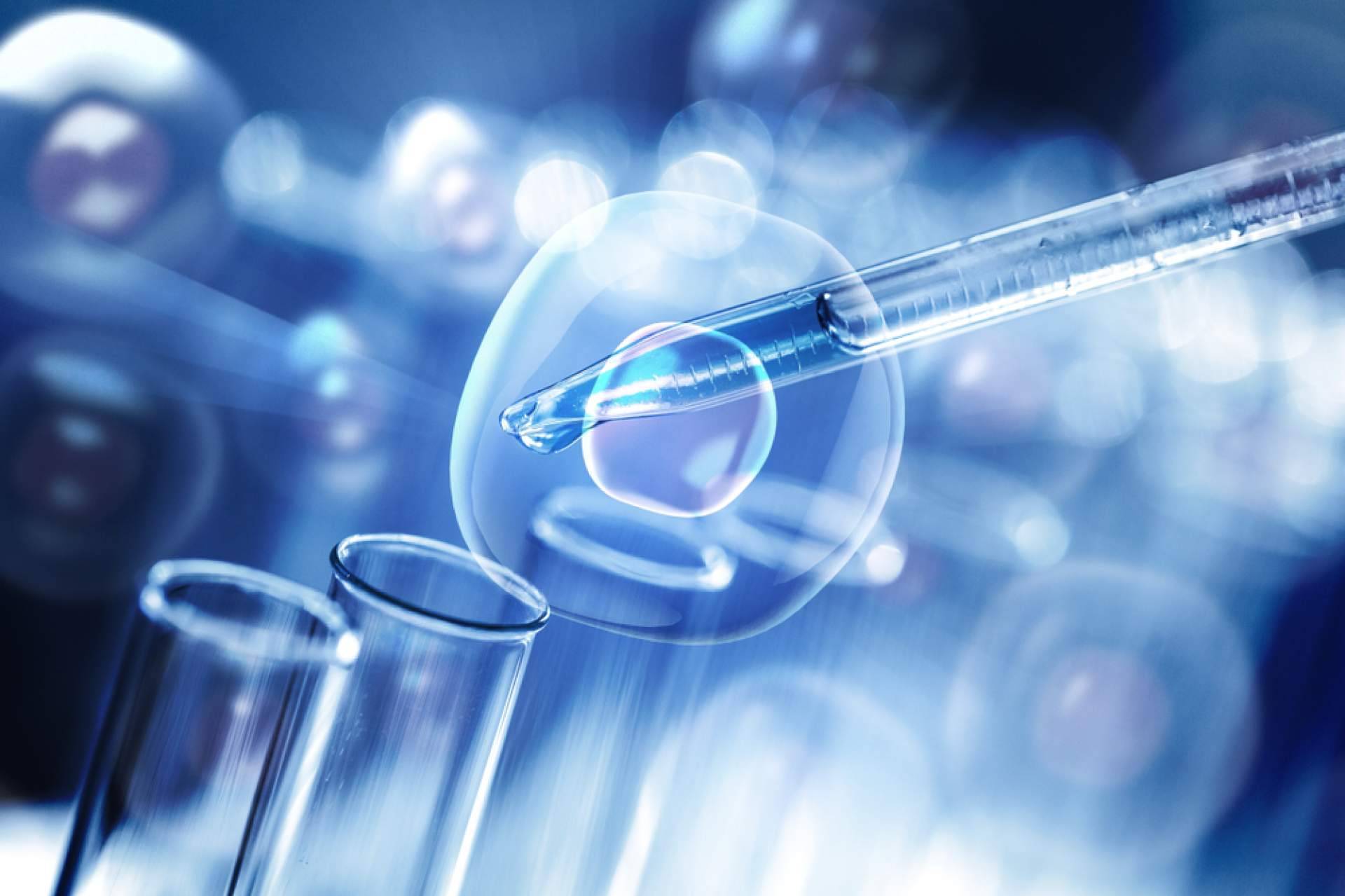 Immunotherapy Regenerative Medicine, especialistas en células madre en México