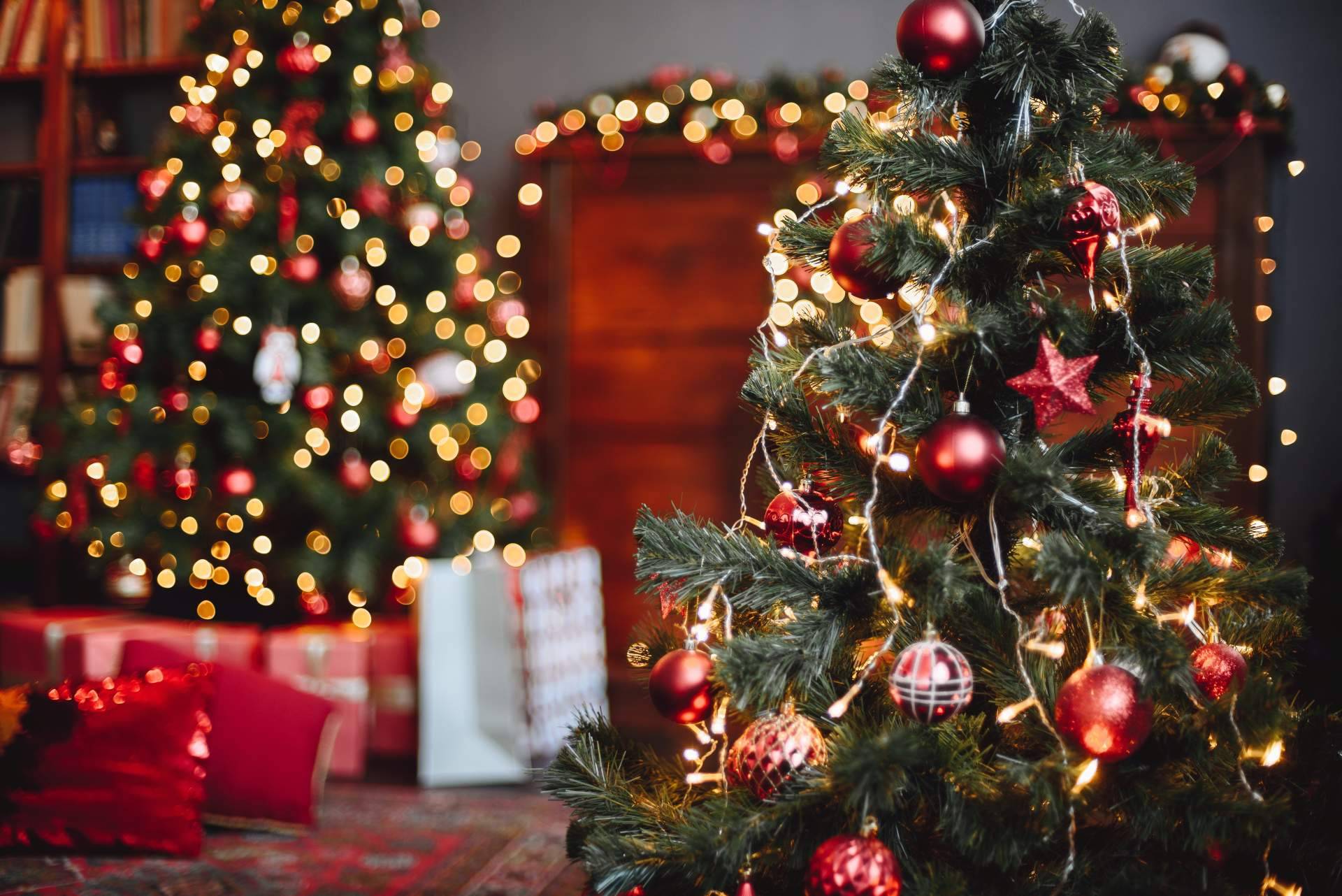 Encontrar regalos Navidad en Entre Libros Editorial