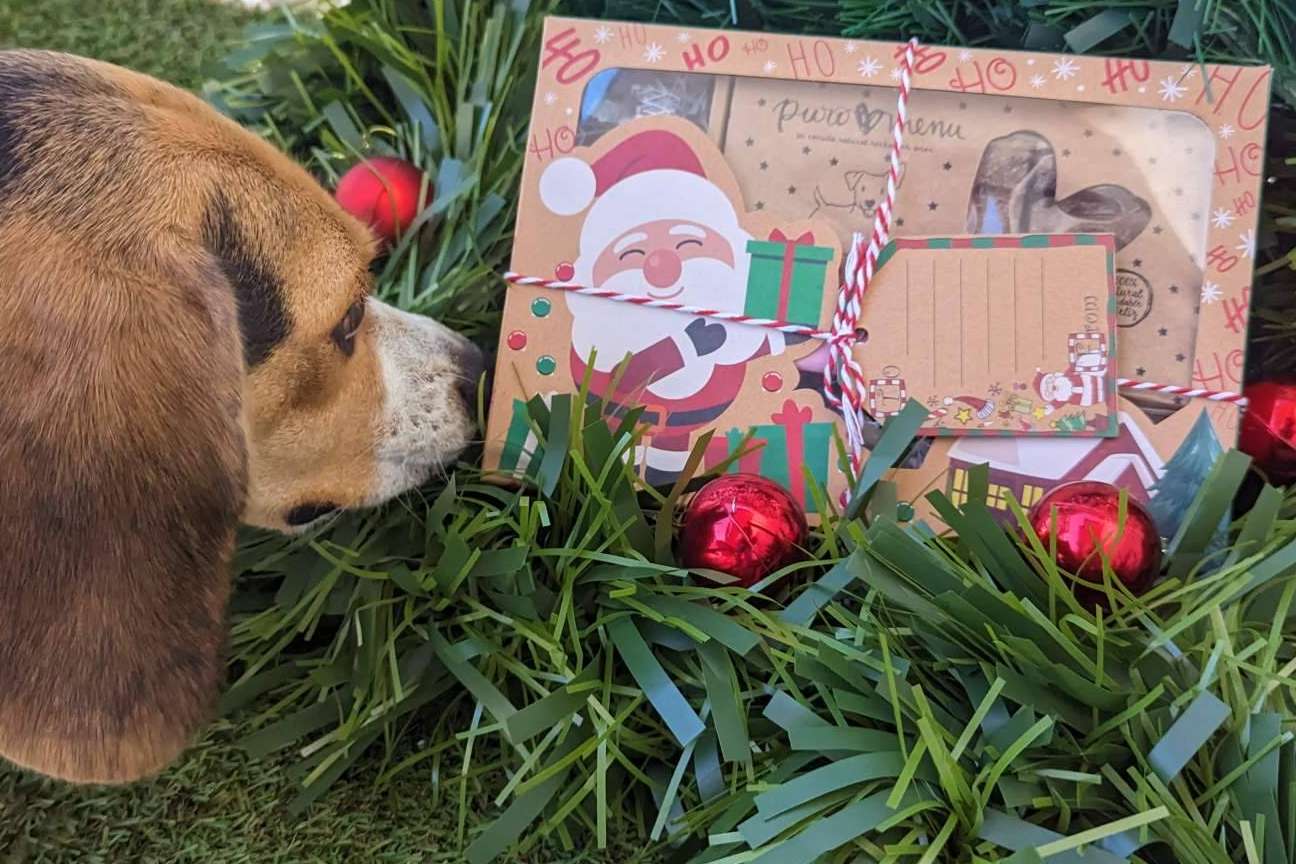 NaturWild ofrece el regalo de navidad perfecto para un perro