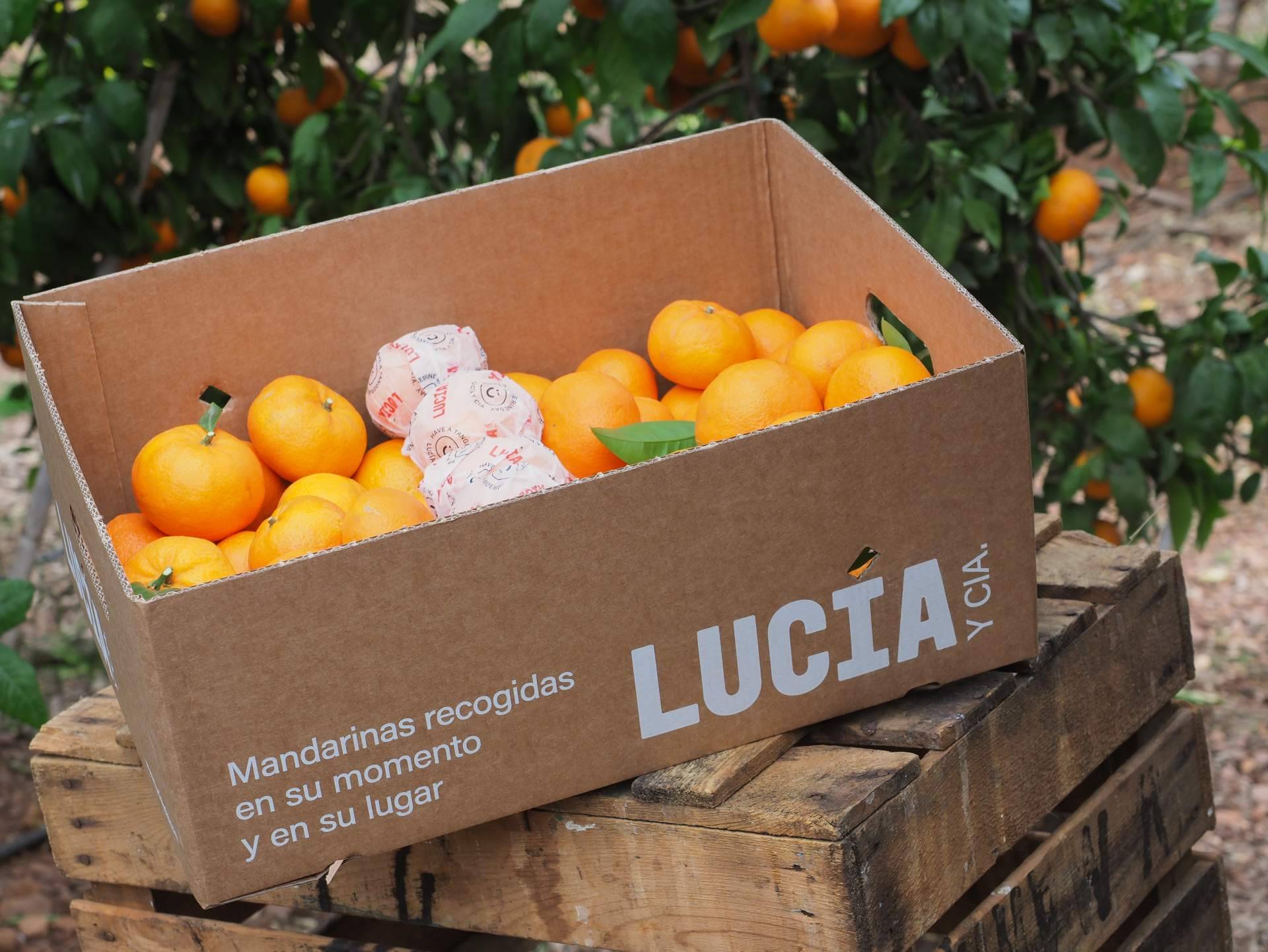 El proyecto Lucía y Cía. redefine la forma de experimentar las mandarinas