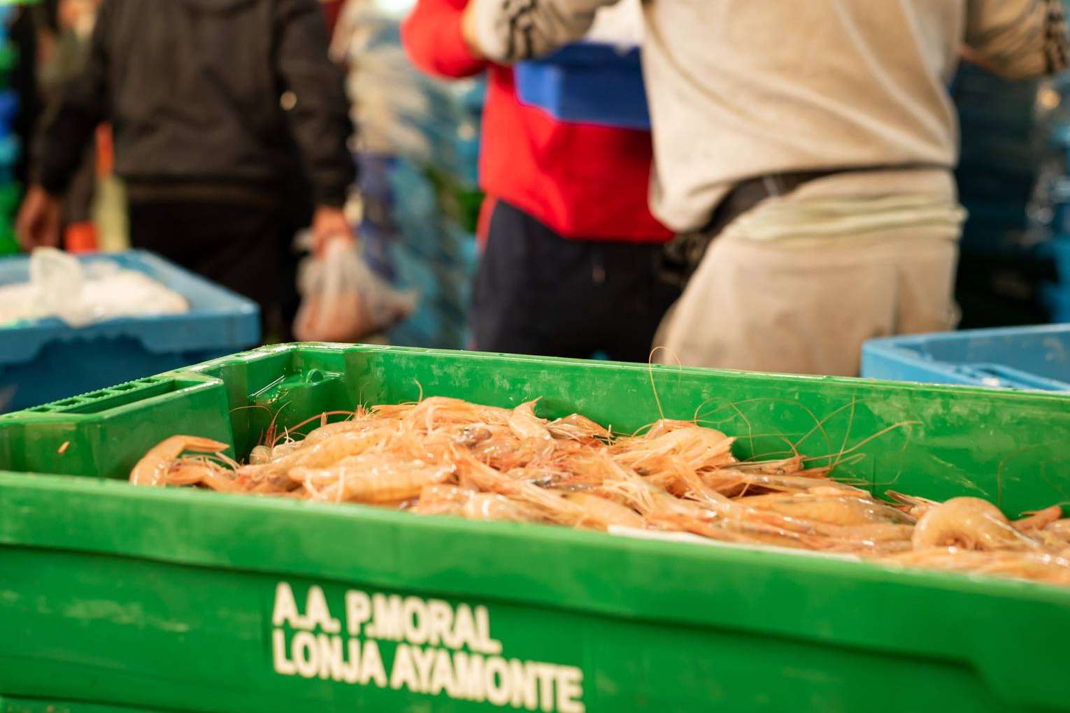 Comprar online gamba blanca de Huelva, de Lonja de Ayamonte