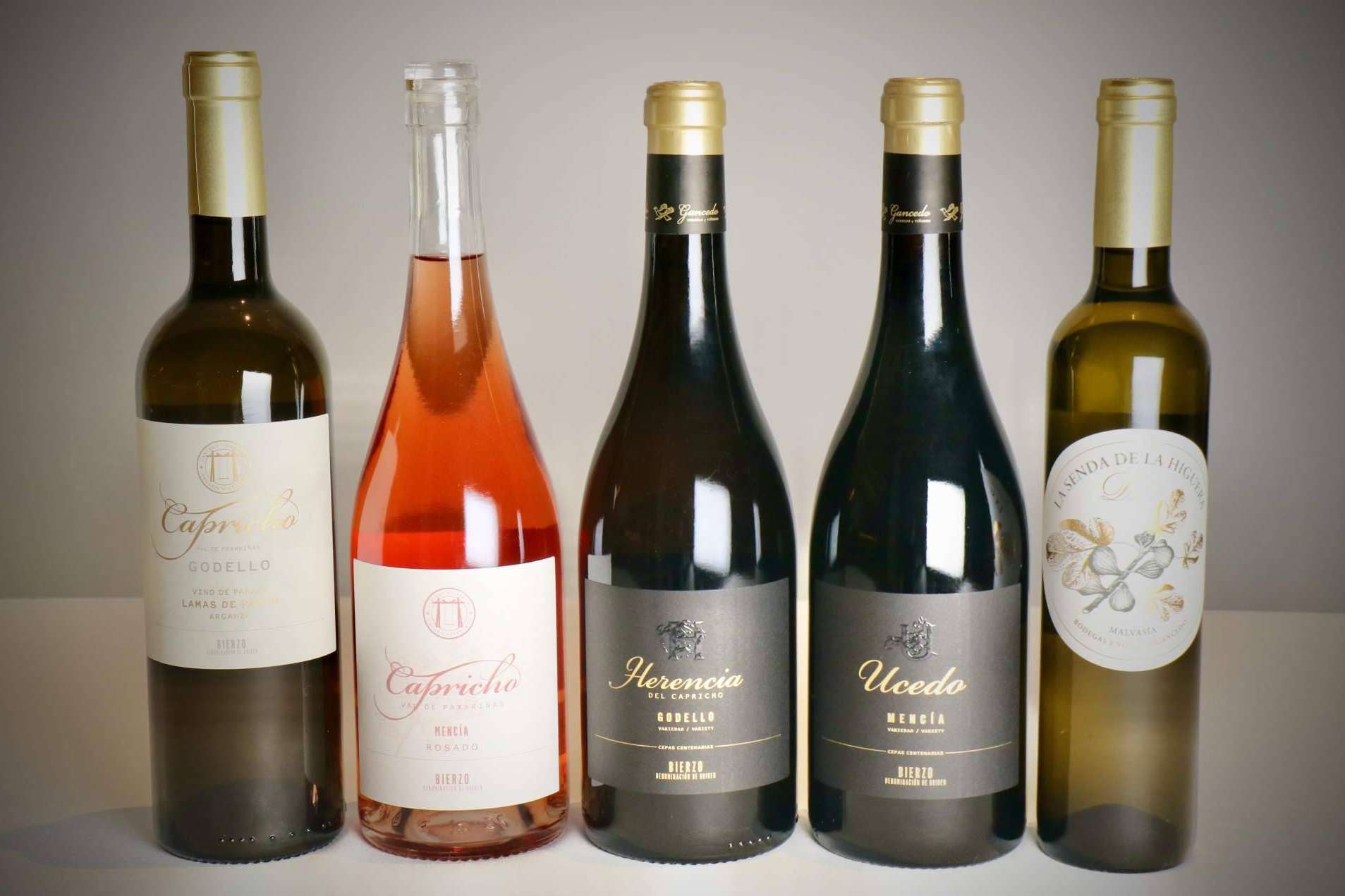 La expresión de los viñedos de El Bierzo