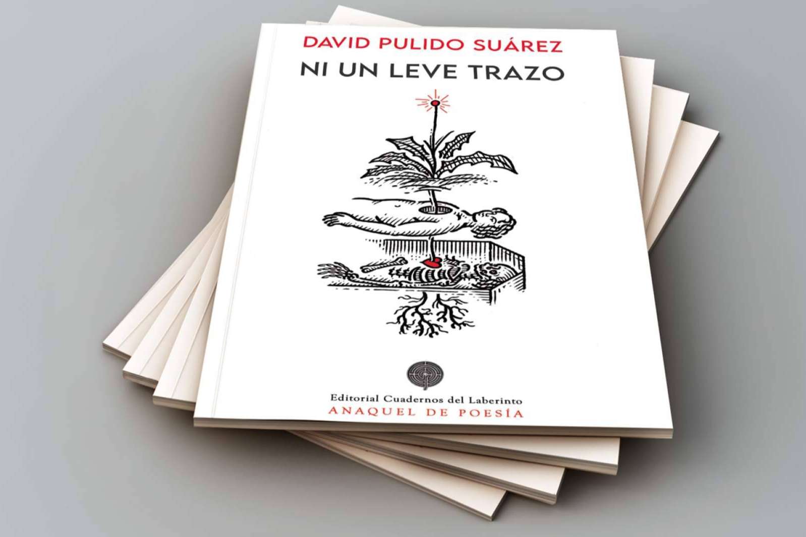 David Pulido, ‘la lectura como la escritura multiplican nuestras posibles versiones existenciales’. Entrevista al autor de ‘Ni un leve trazo’