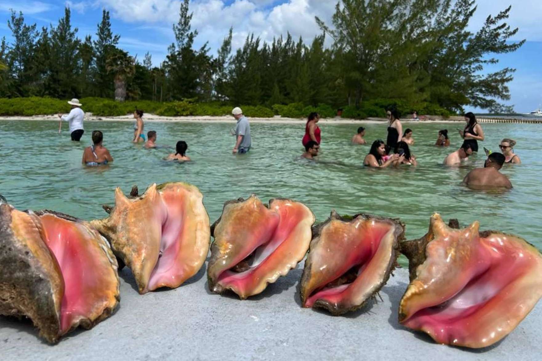 Cayman Ocean Adventures y sus paquetes turísticos para disfrutar al máximo en las Islas Caimán