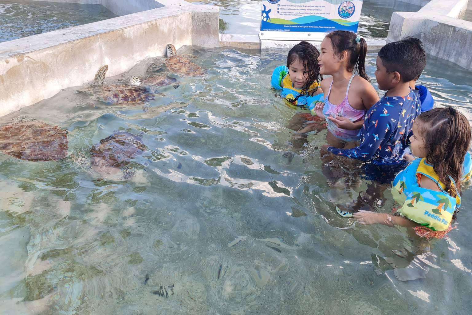 Visitar Turtle Centre con las excursiones disponibles en la agencia Cayman Ocean Adventures