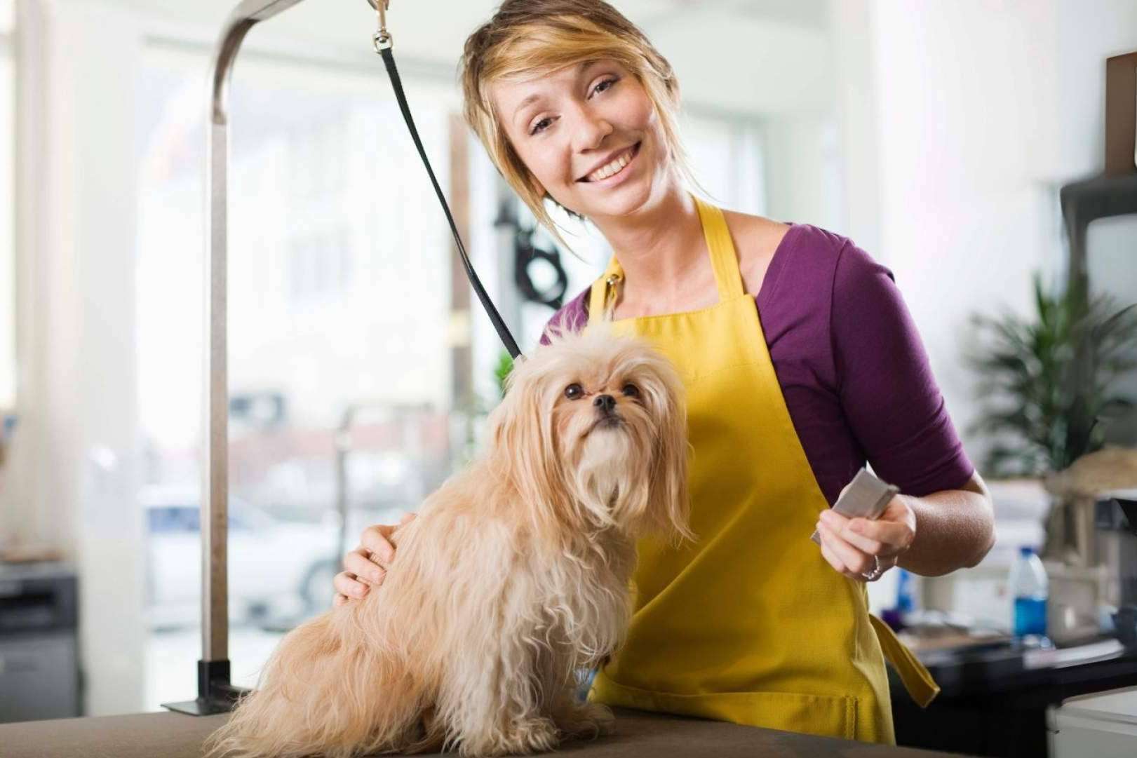¿Dónde encontrar un centro para profesiones relacionadas con mascotas? Campus Alianz Formación