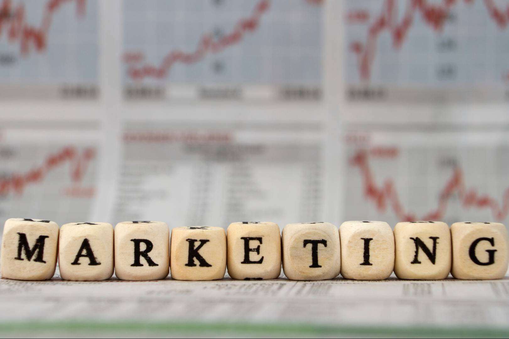 Liderar una agencia de marketing digital con un enfoque en la rentabilidad y la eficiencia
