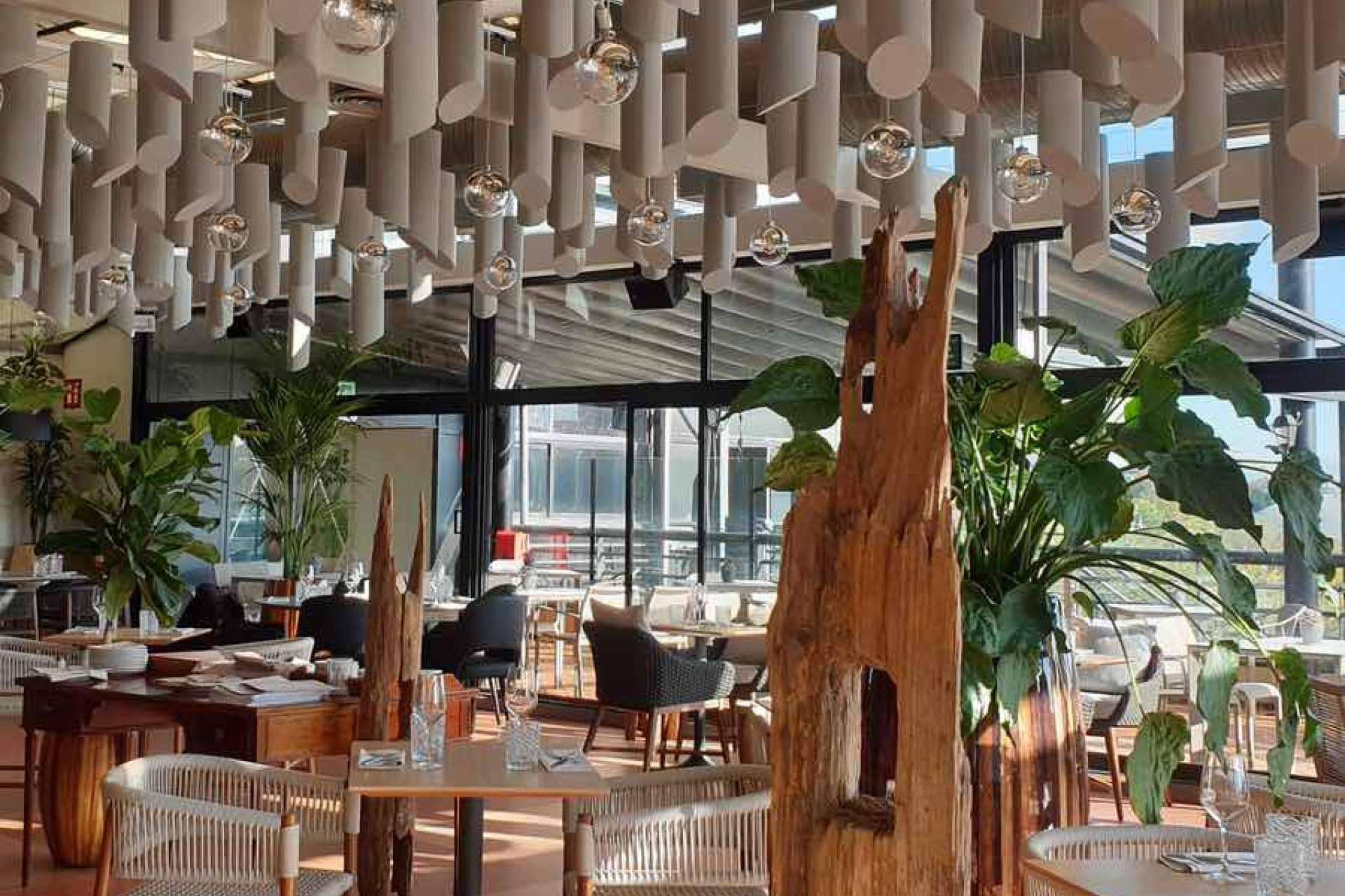 La importancia del bienestar acústico en restaurantes