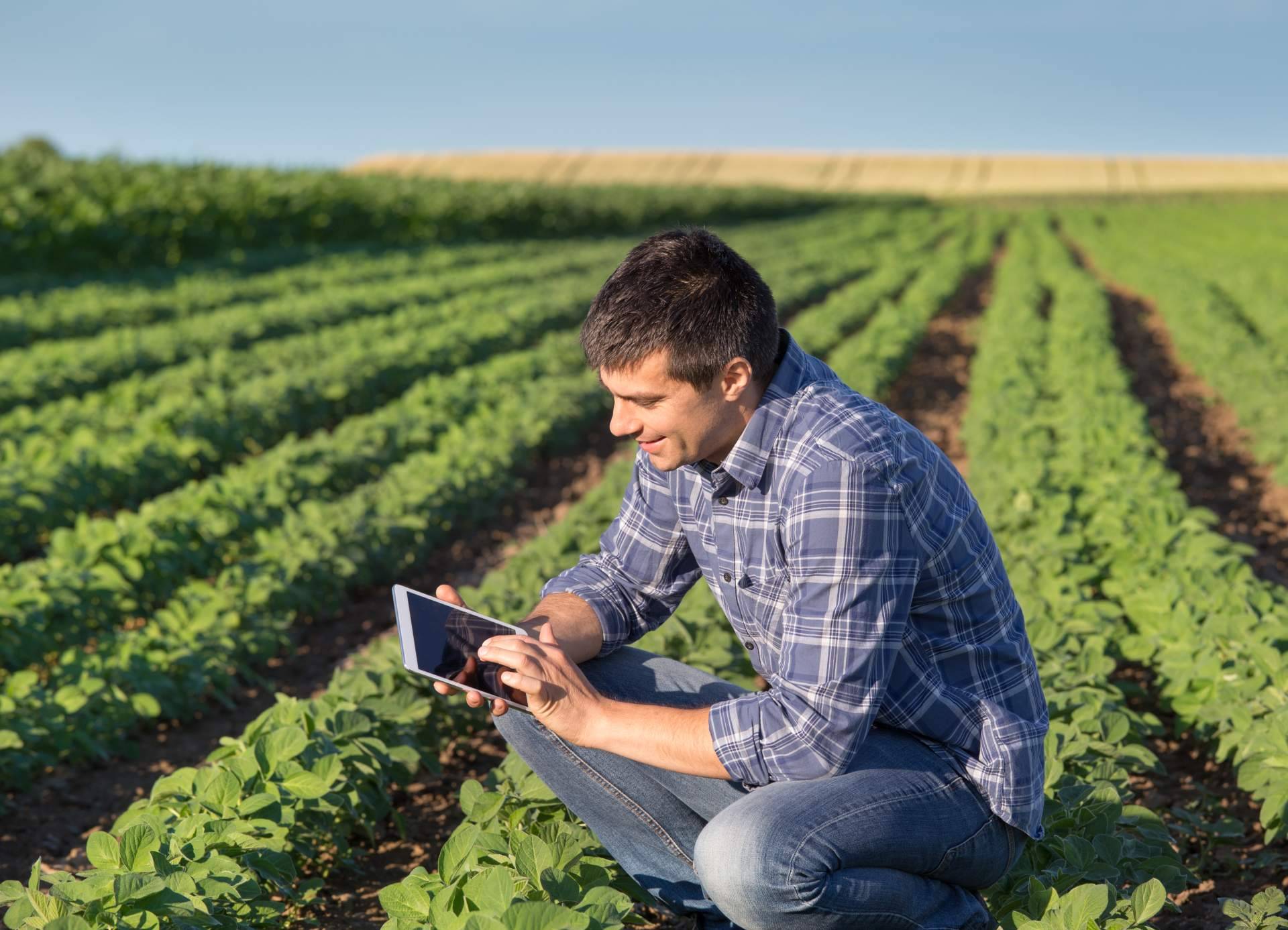 Cuadernos de explotación, soluciones específicas para el sector agropecuario con Certitec