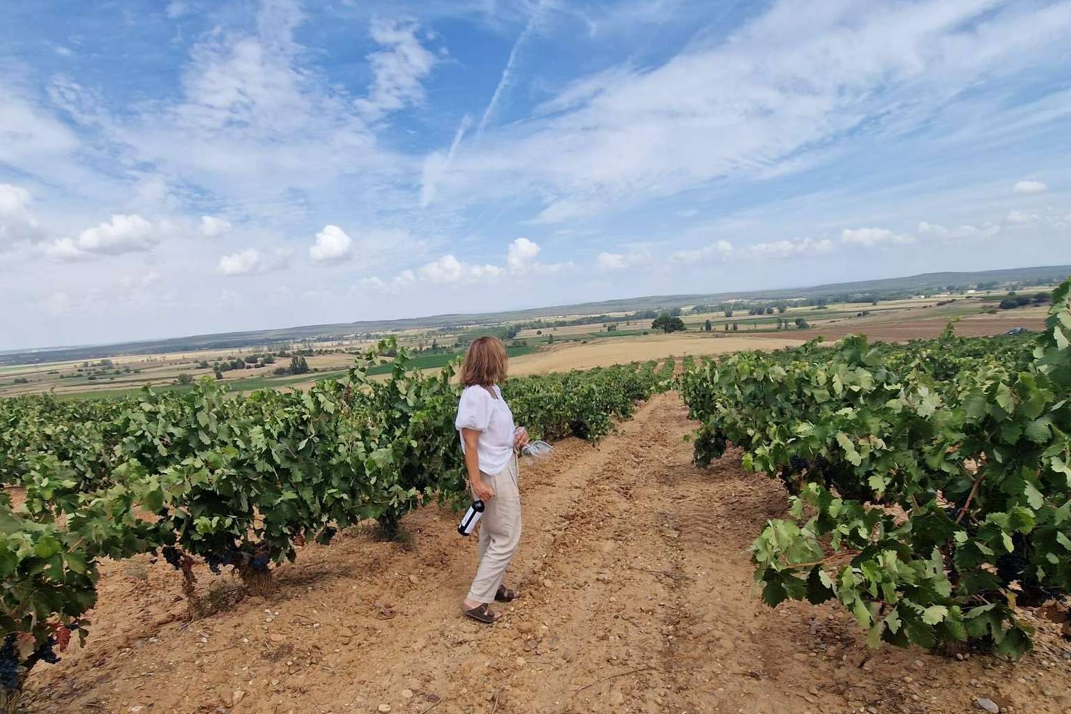 Disfrutar de una escapada rural para celebrar eventos privados en la Ribera del Duero es posible en La Ren Lecrés