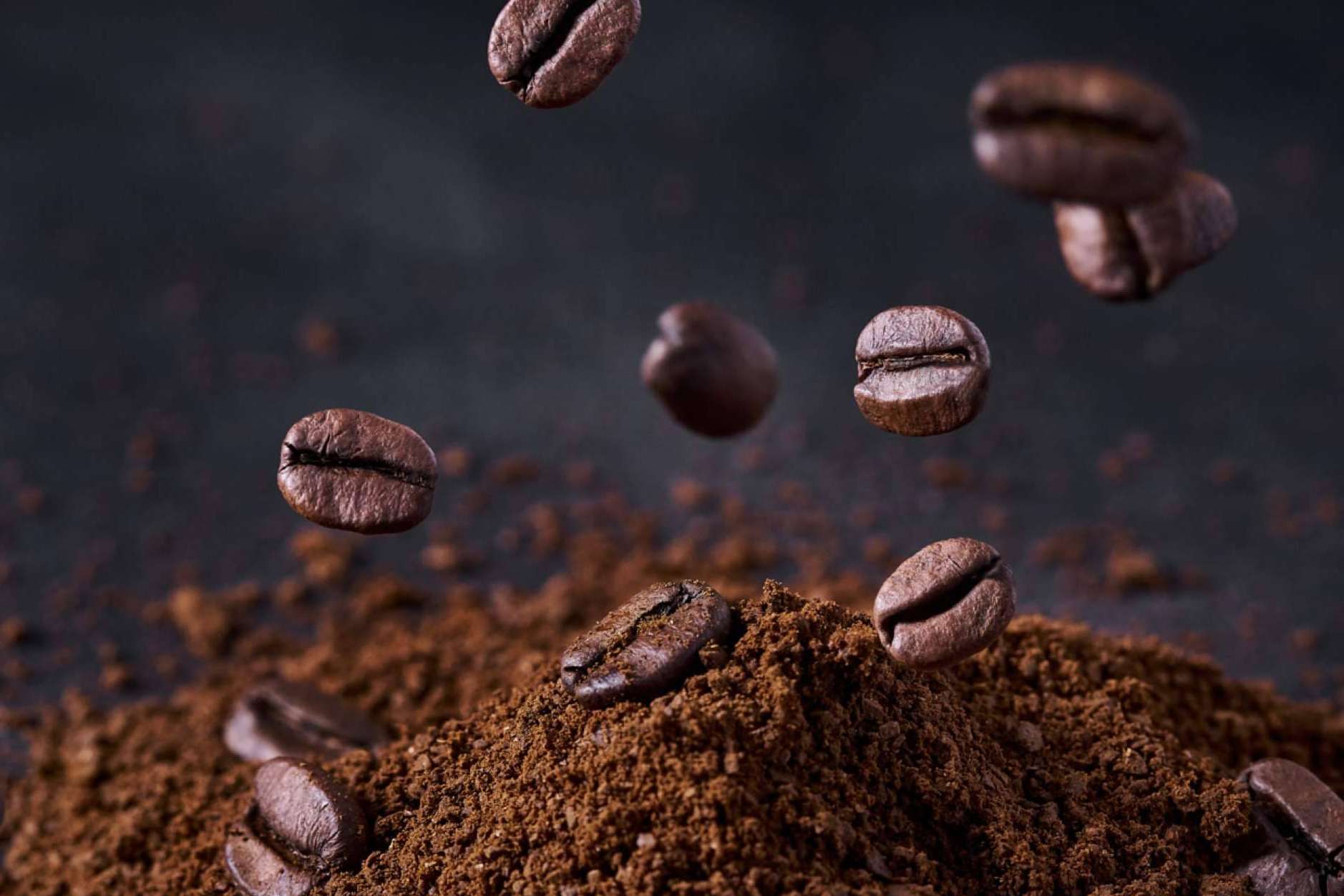 CATUAI. El Café de Boquete que enamora a los paladares más selectos