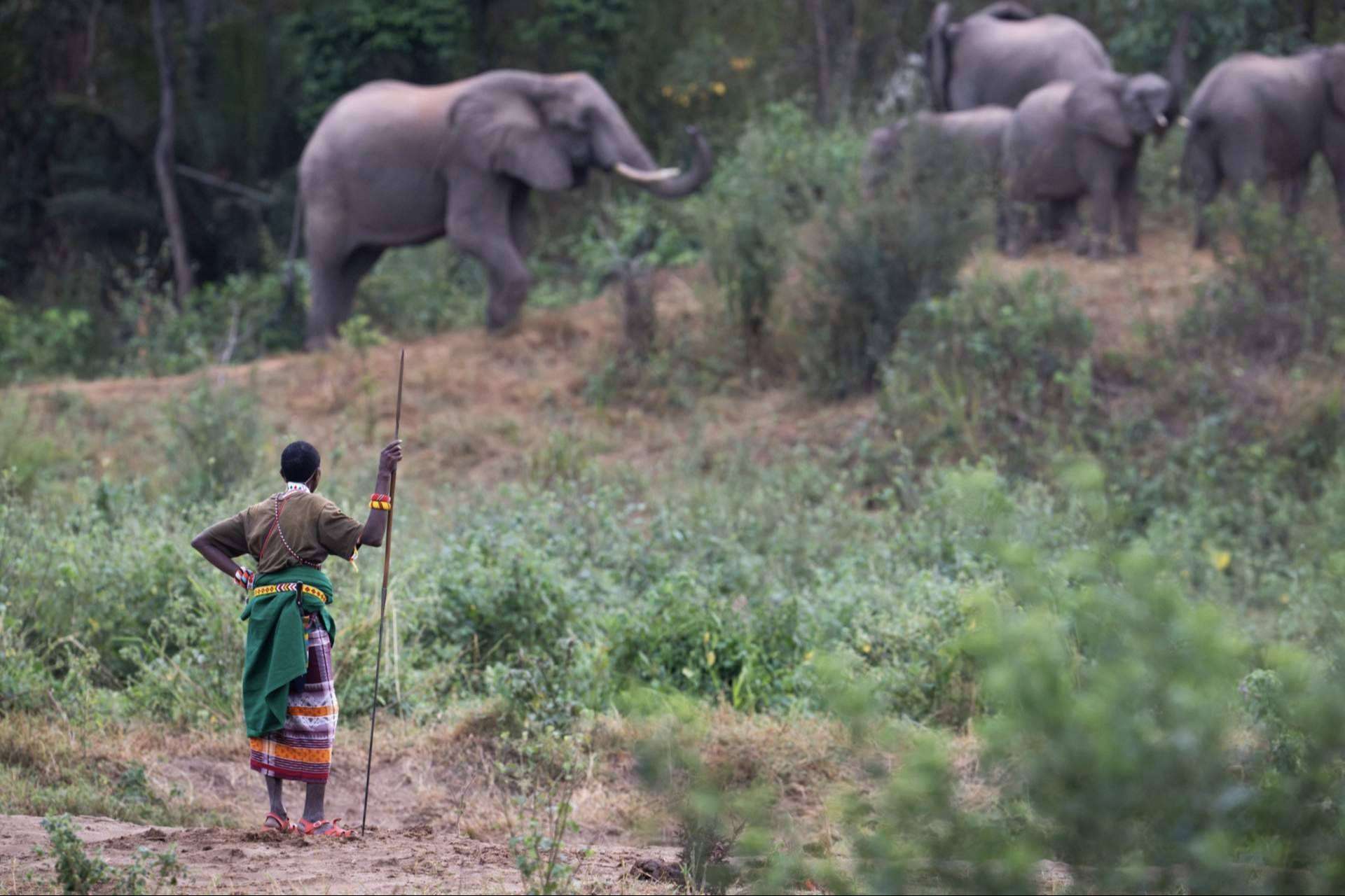 Descubrir 3 zonas en Kenia que no están en el circuito de masas y se deben visitar, de la mano de The African Experiences