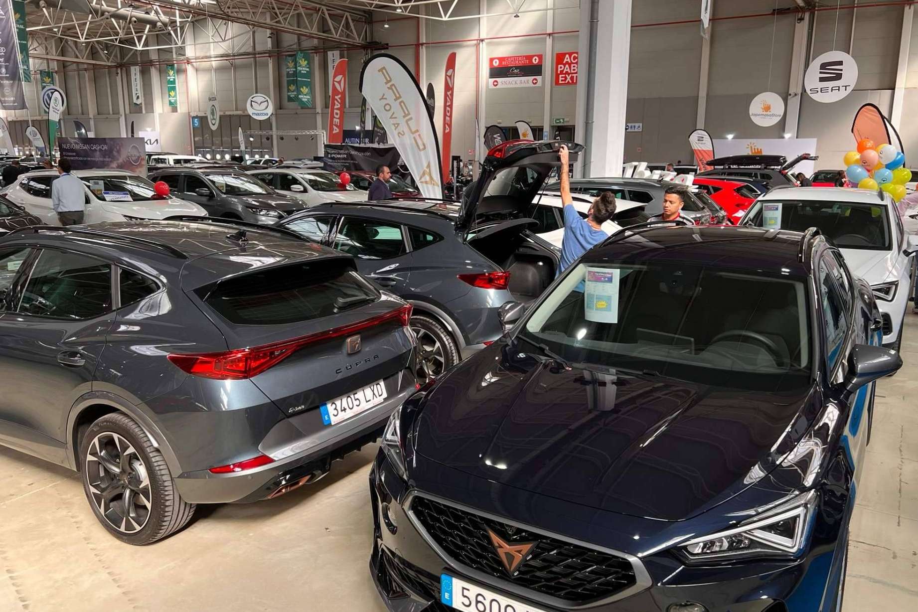 Distribución y comercialización de coches de ocasión, de la mano de Grupo Ávolo