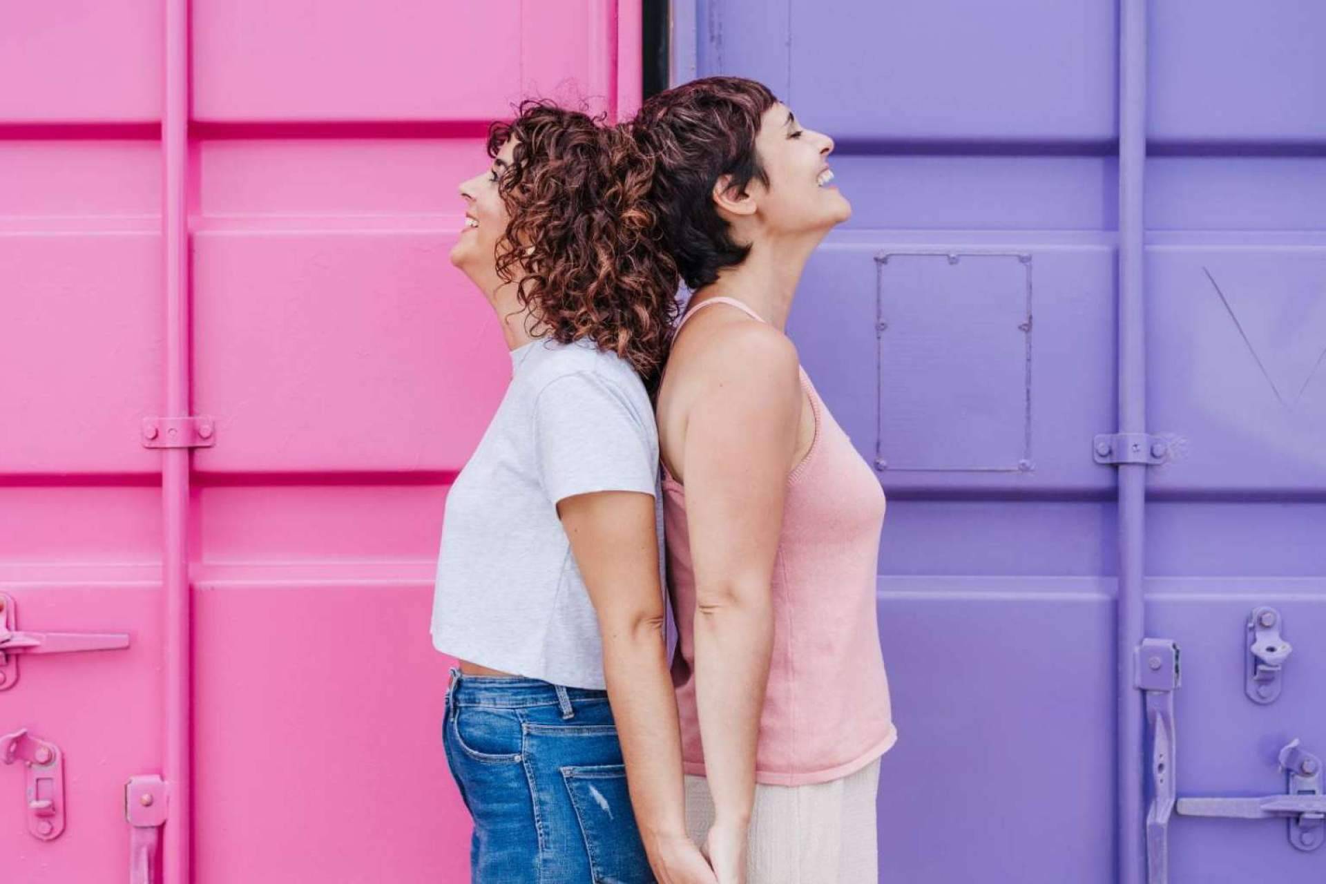 Implantación del plan LGTBI, consejos de HRLOG