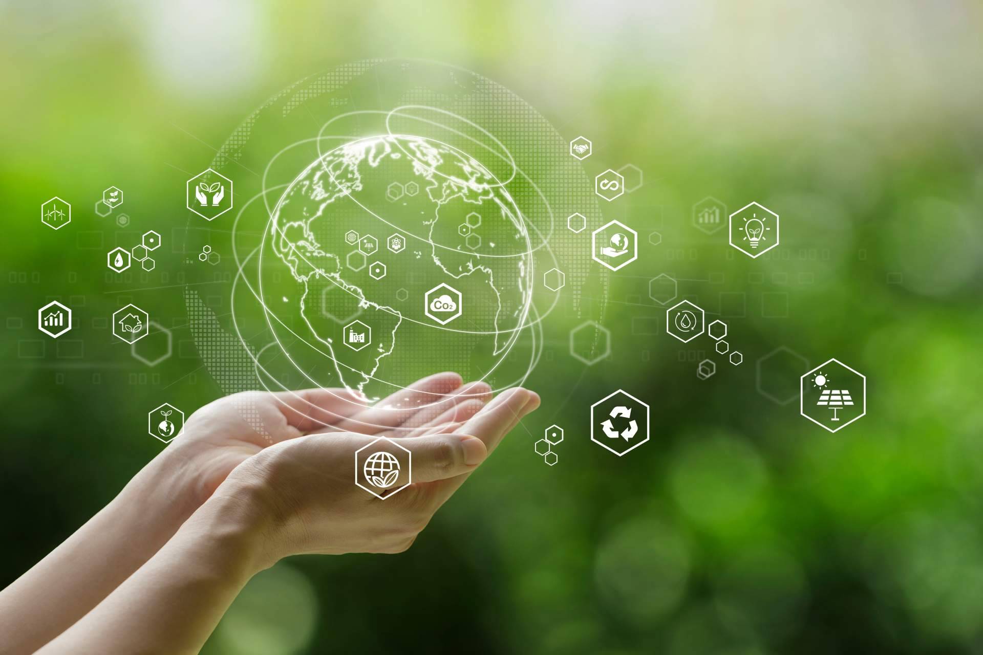 Socionaut, potenciando el desarrollo sostenible a través de su consultoría social