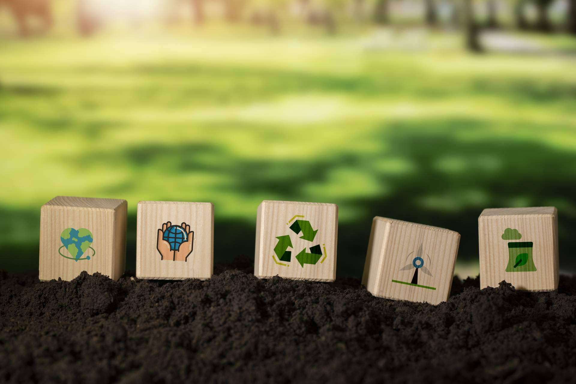 Gobierno de Canarias presenta estrategia integral para la transición ecológica y la lucha contra el cambio climático