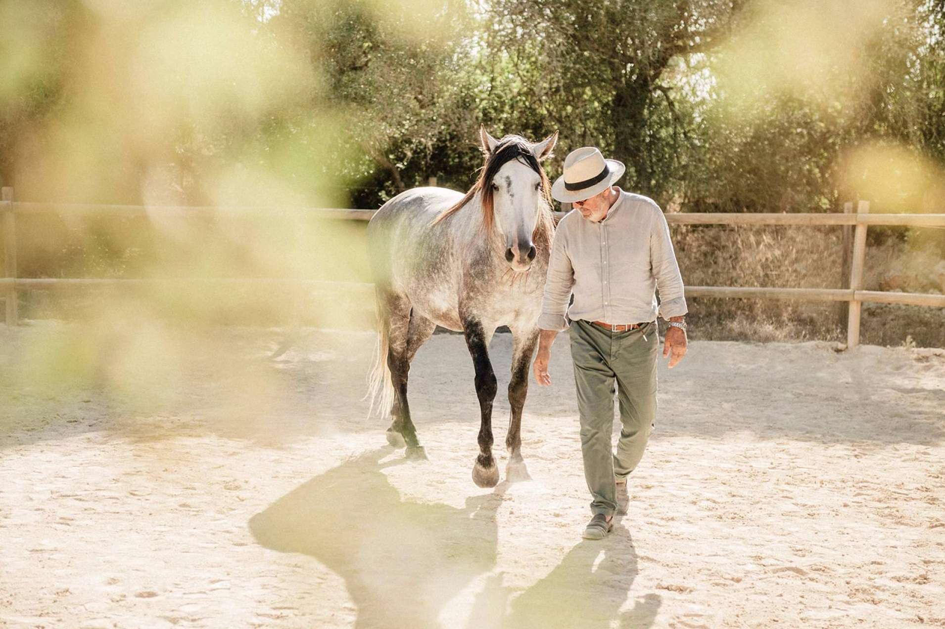 El coaching asistido con caballos para empresas de Son Cavalls