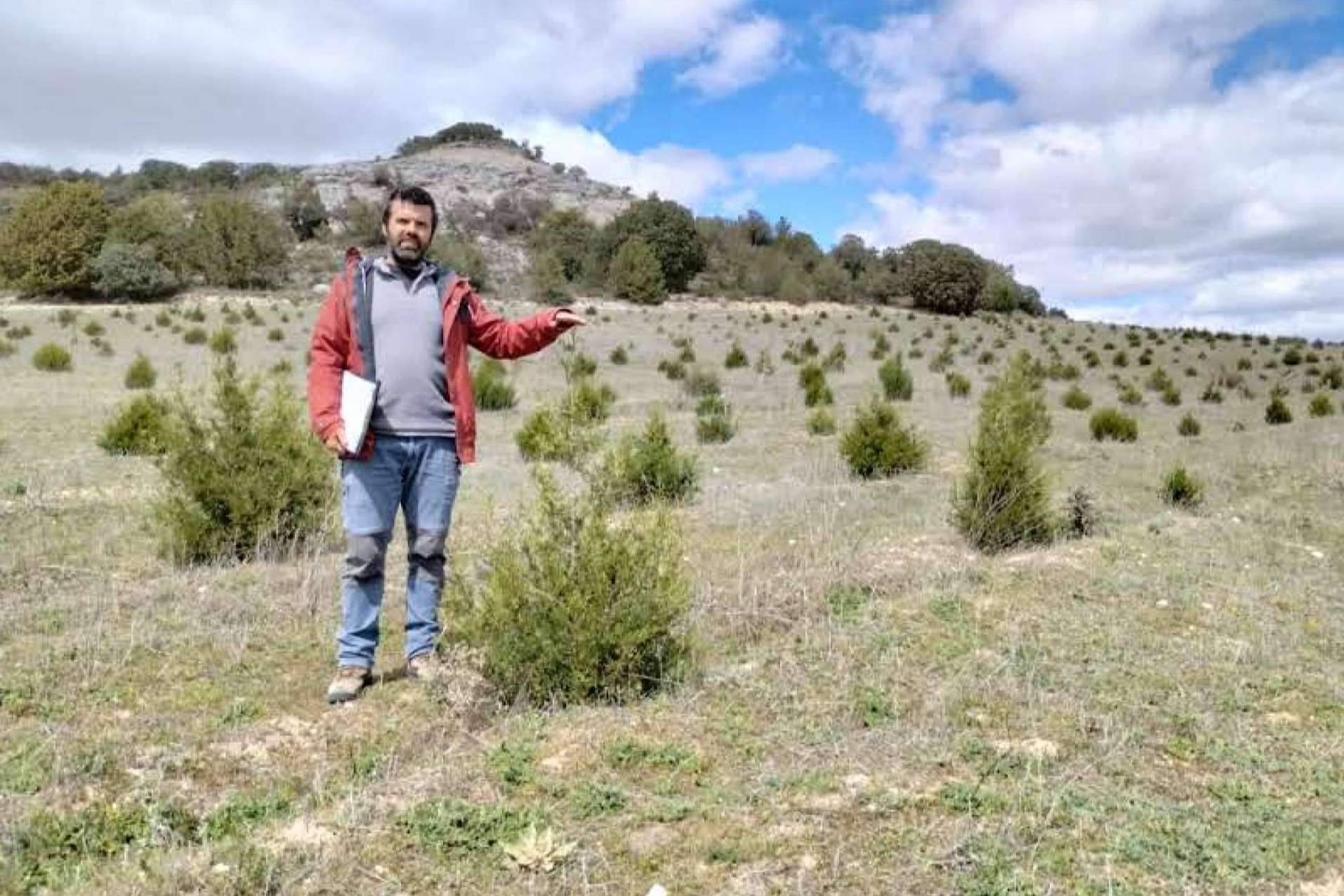 Las ayudas para producciones forestales de alto valor en Castilla y León y su gran demanda