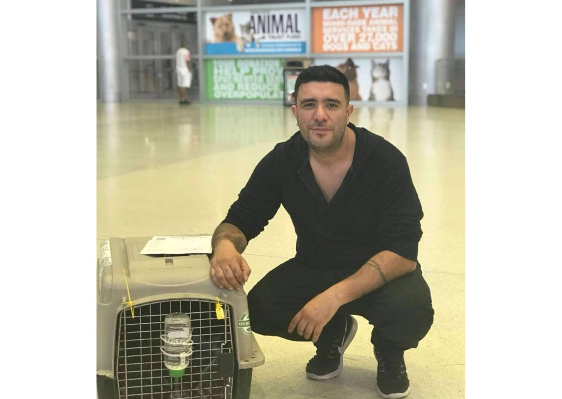 Pet World Travel, una solución en el transporte de mascotas a nivel nacional e internacional
