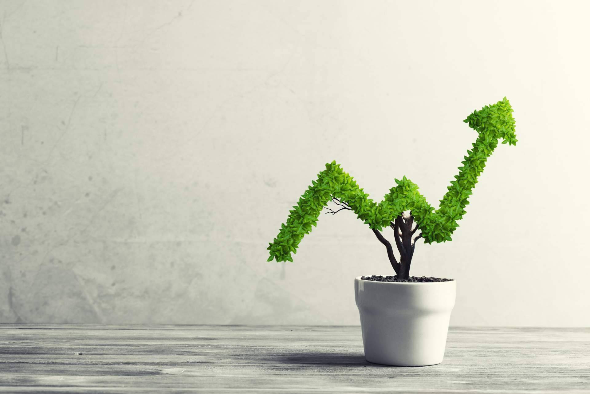 Fortuna, la boutique de soluciones personalizadas de inversión y ahorro