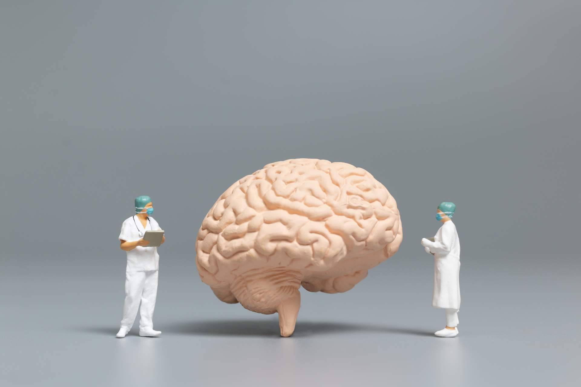 Soluciones naturales para la memoria, con Bibefy