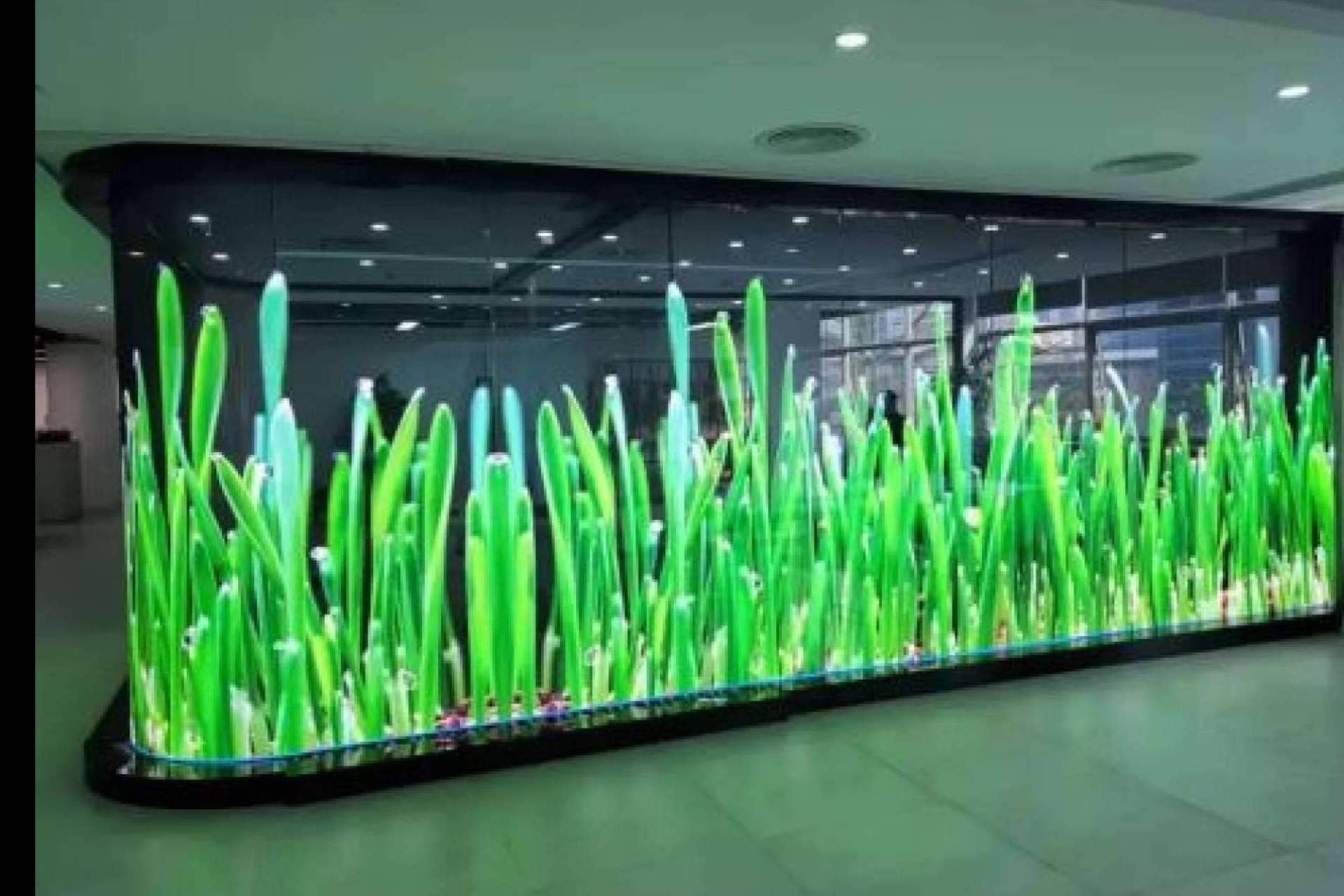 New Tech Store proporciona soluciones innovadoras para hologramas y señalización digital