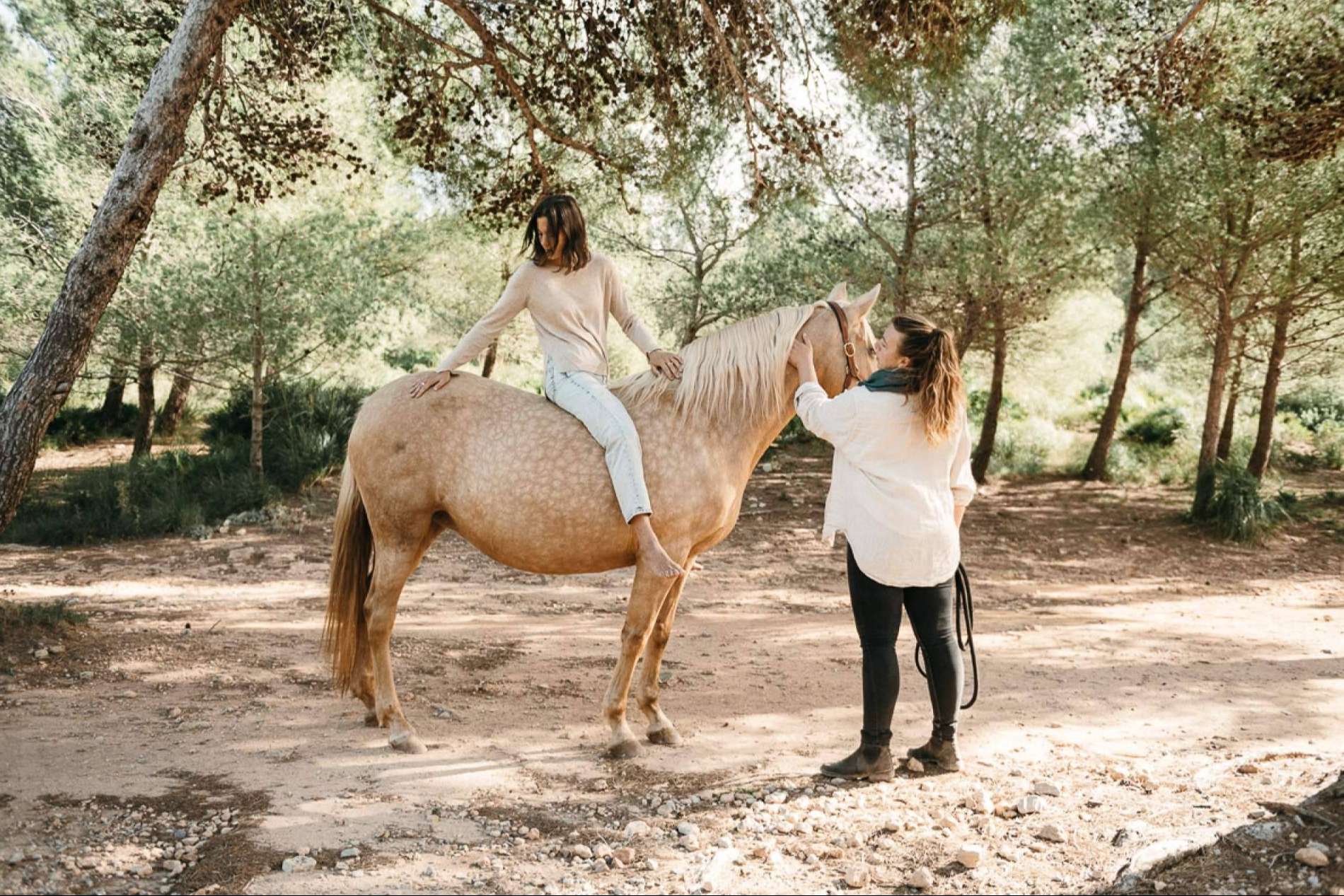 Recuperar la autenticidad por medio del coaching individual asistido por caballos con Son Cavalls