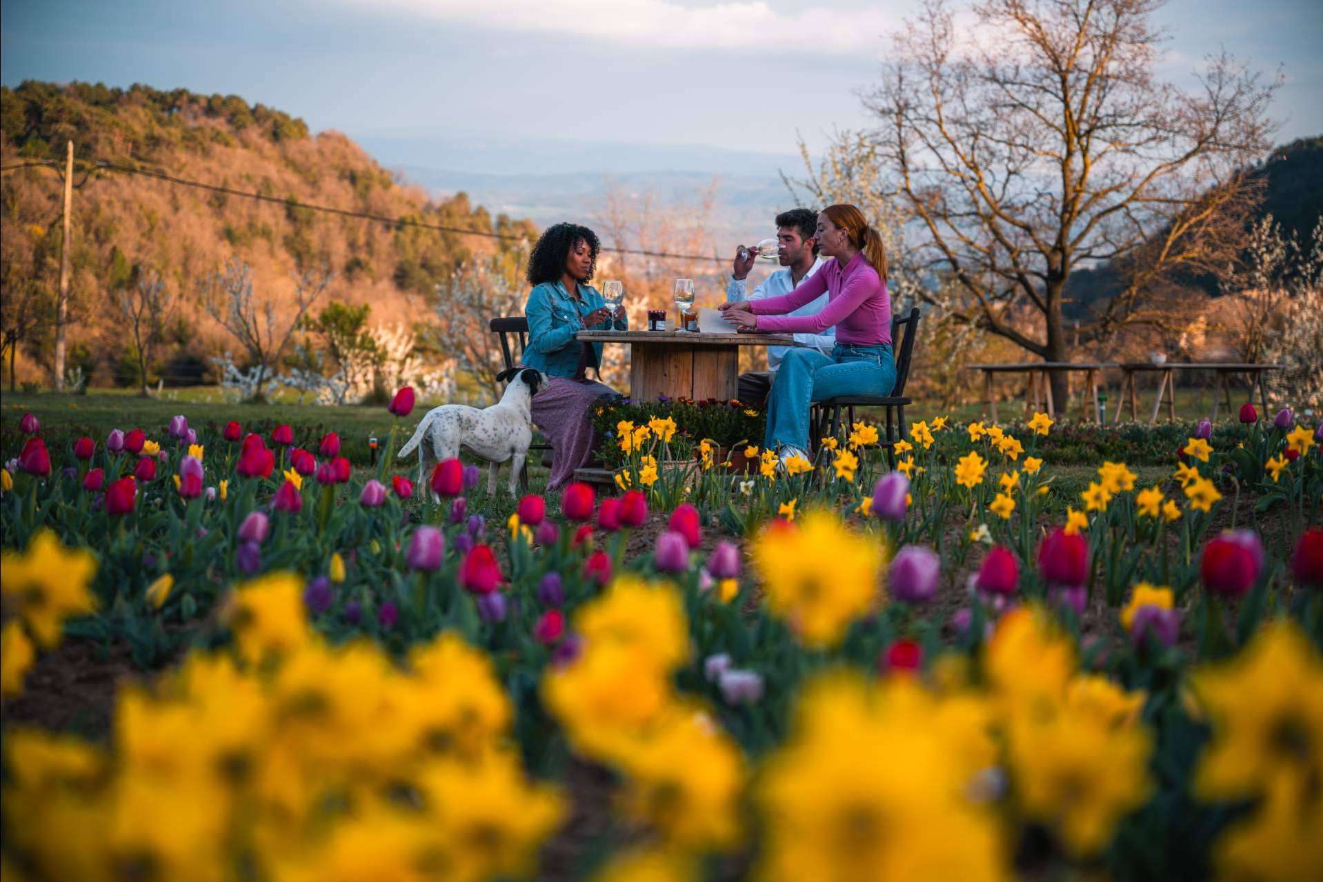 Niudàlia, el paraíso de las flores, ofrece sesiones de fotos en pareja y familia