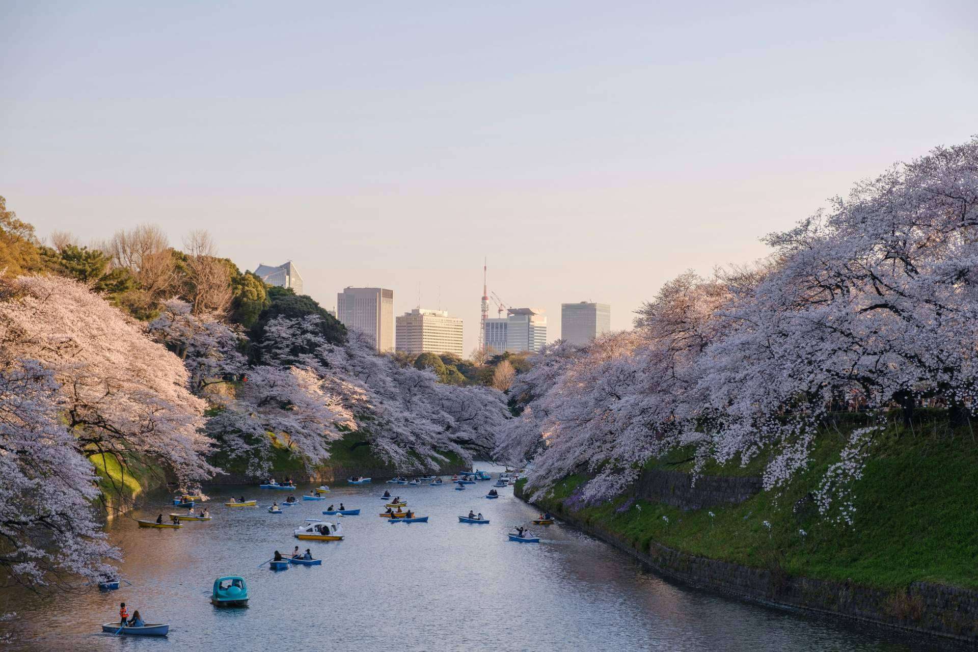 Viajes a Asia low cost para conocer sus maravillas, con Viaxes Low Cost