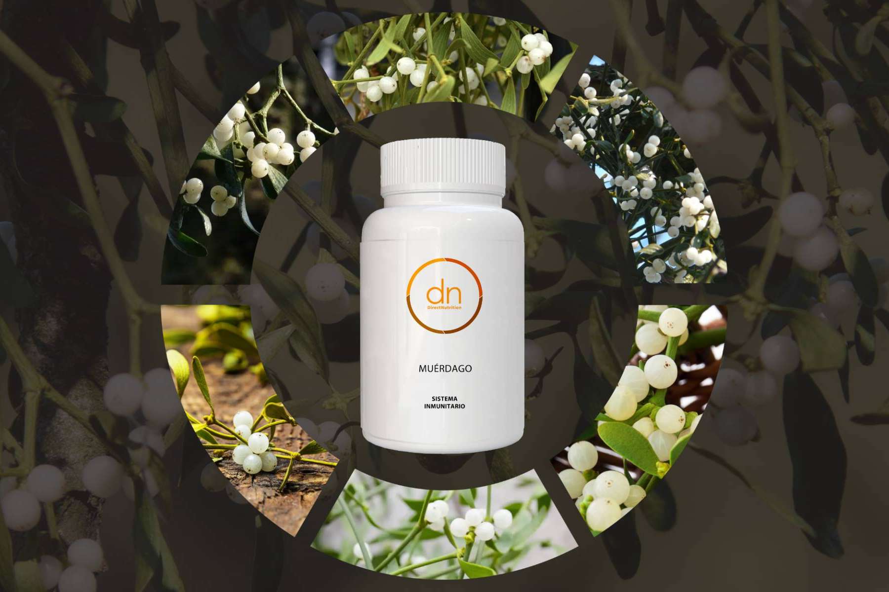 El muérdago, nuevo producto de Direct Nutrition
