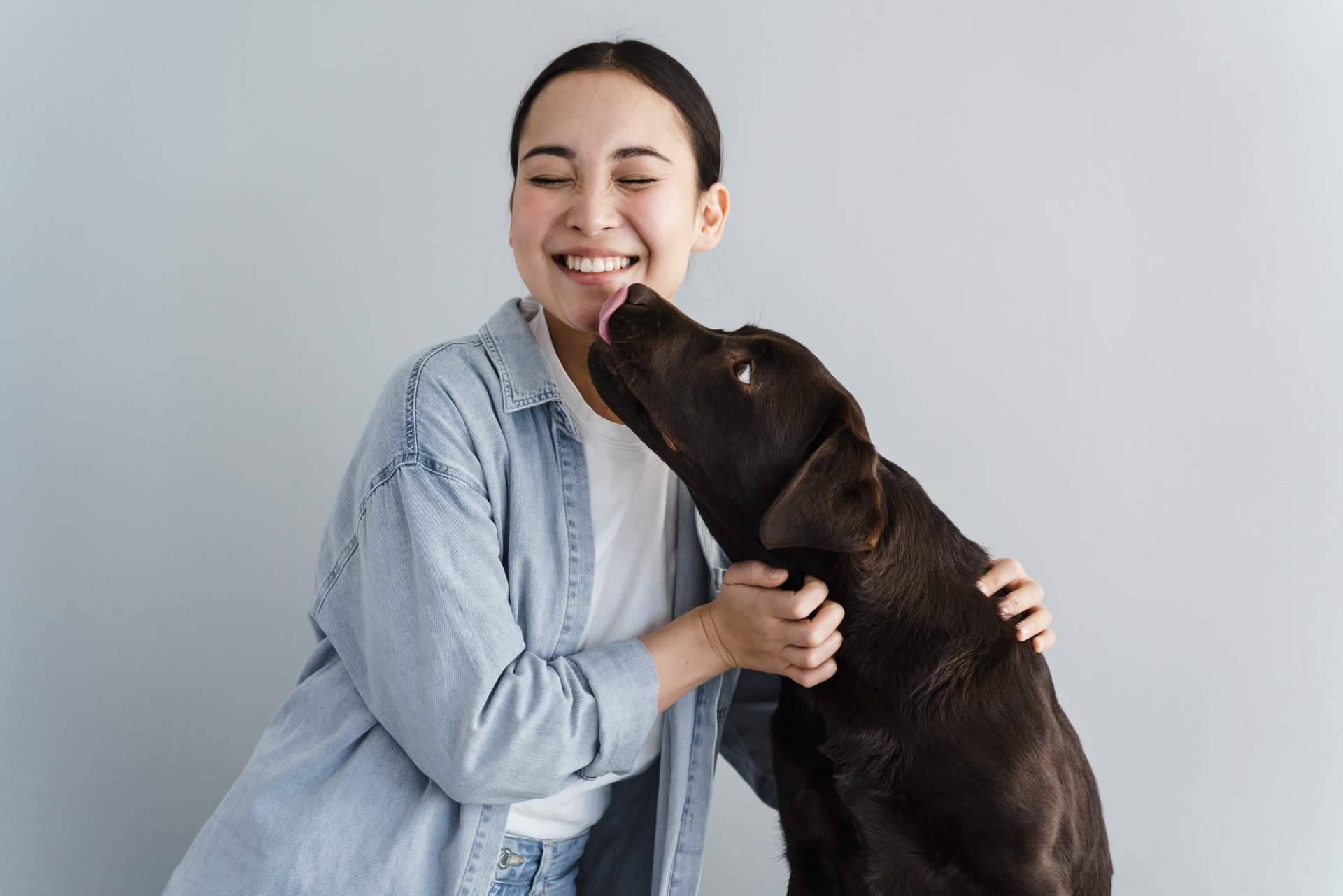 La importancia de elegir un buen hotel para mascotas en Madrid