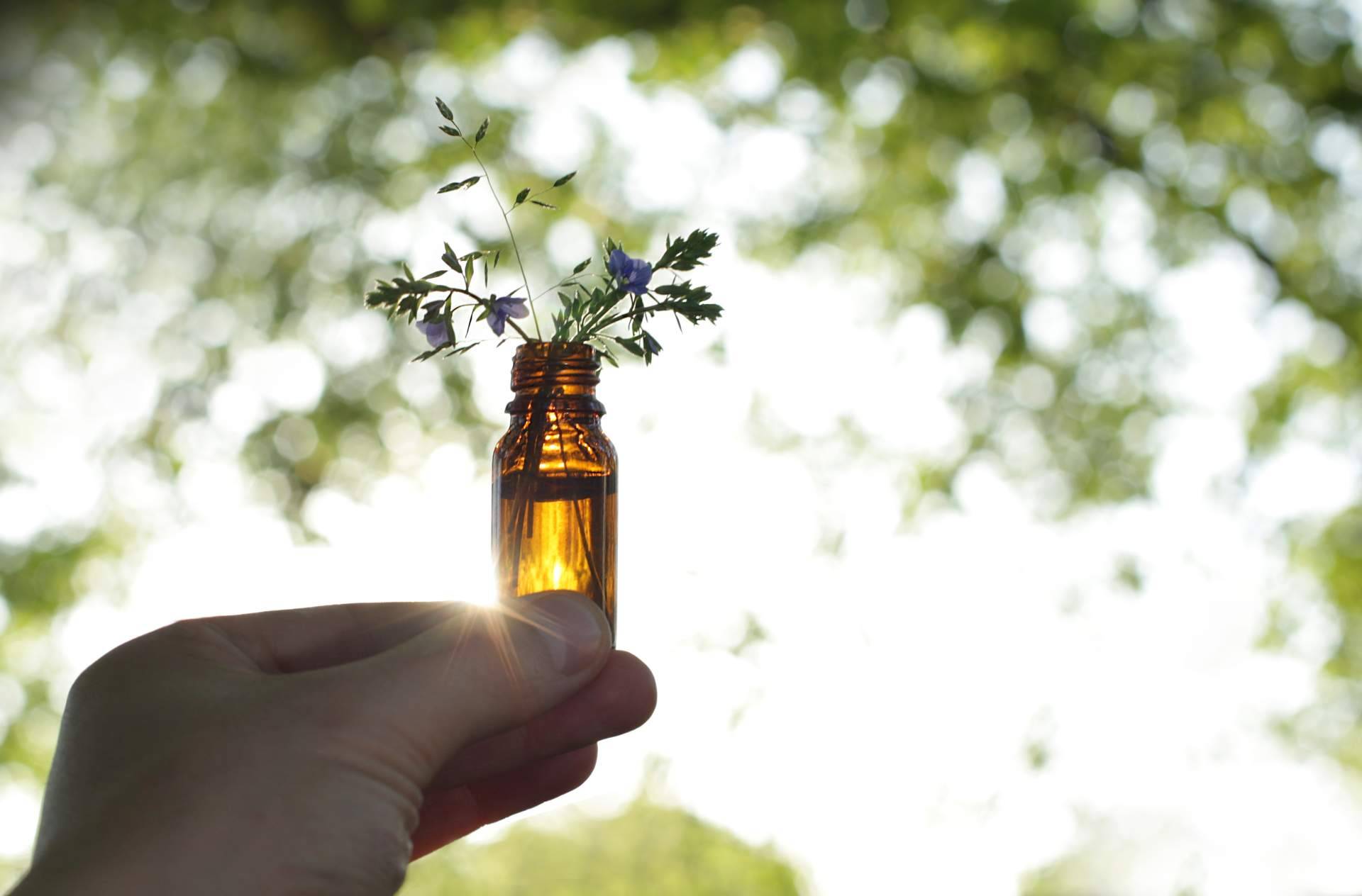 Formarse en Naturopatía, con Fortalecimiento Vital