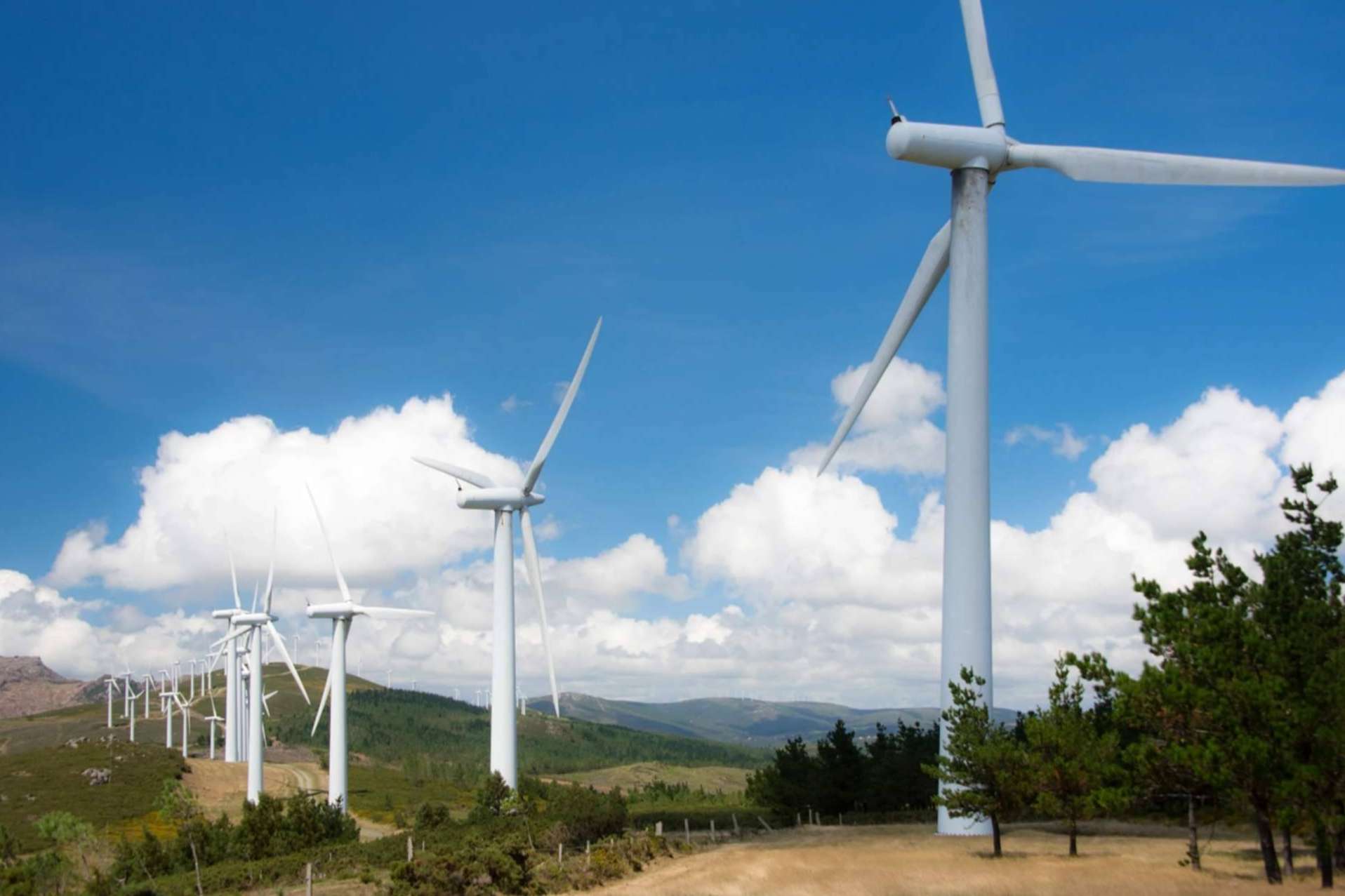 La producción renovable alcanza máximos en Aragón gracias al empuje de la eólica