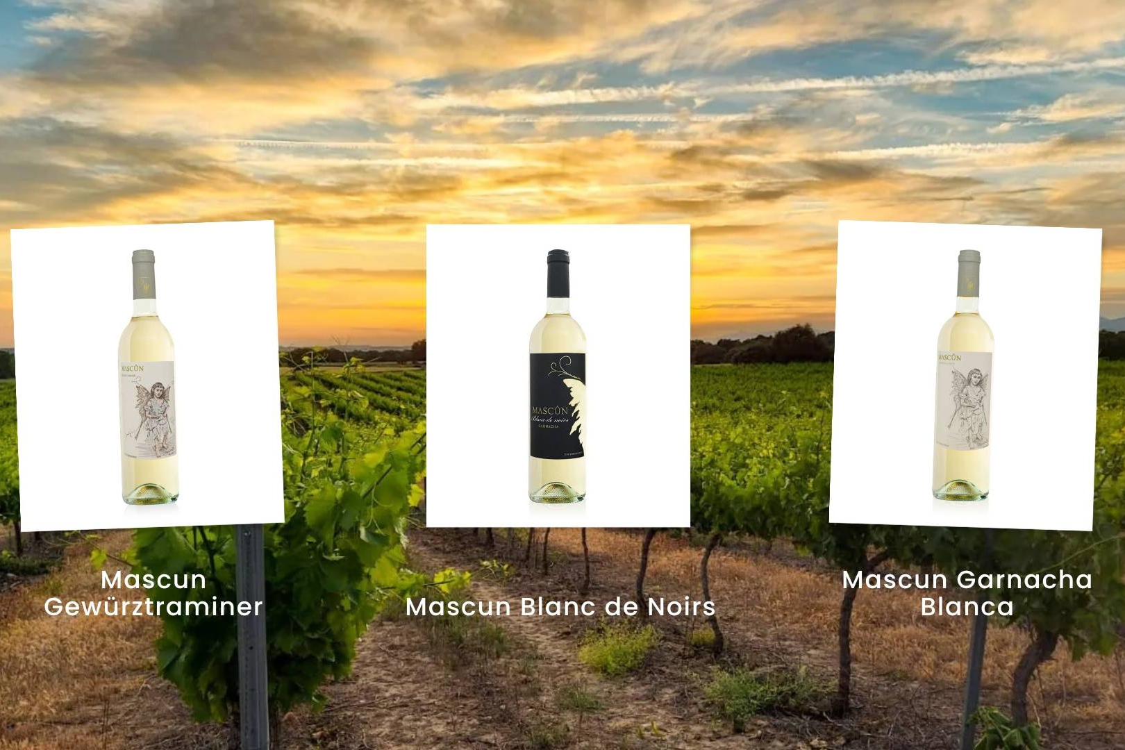 Bodegas Osca propone el plan definitivo para refrescarse este verano; vino blanco y vistas al Somontano